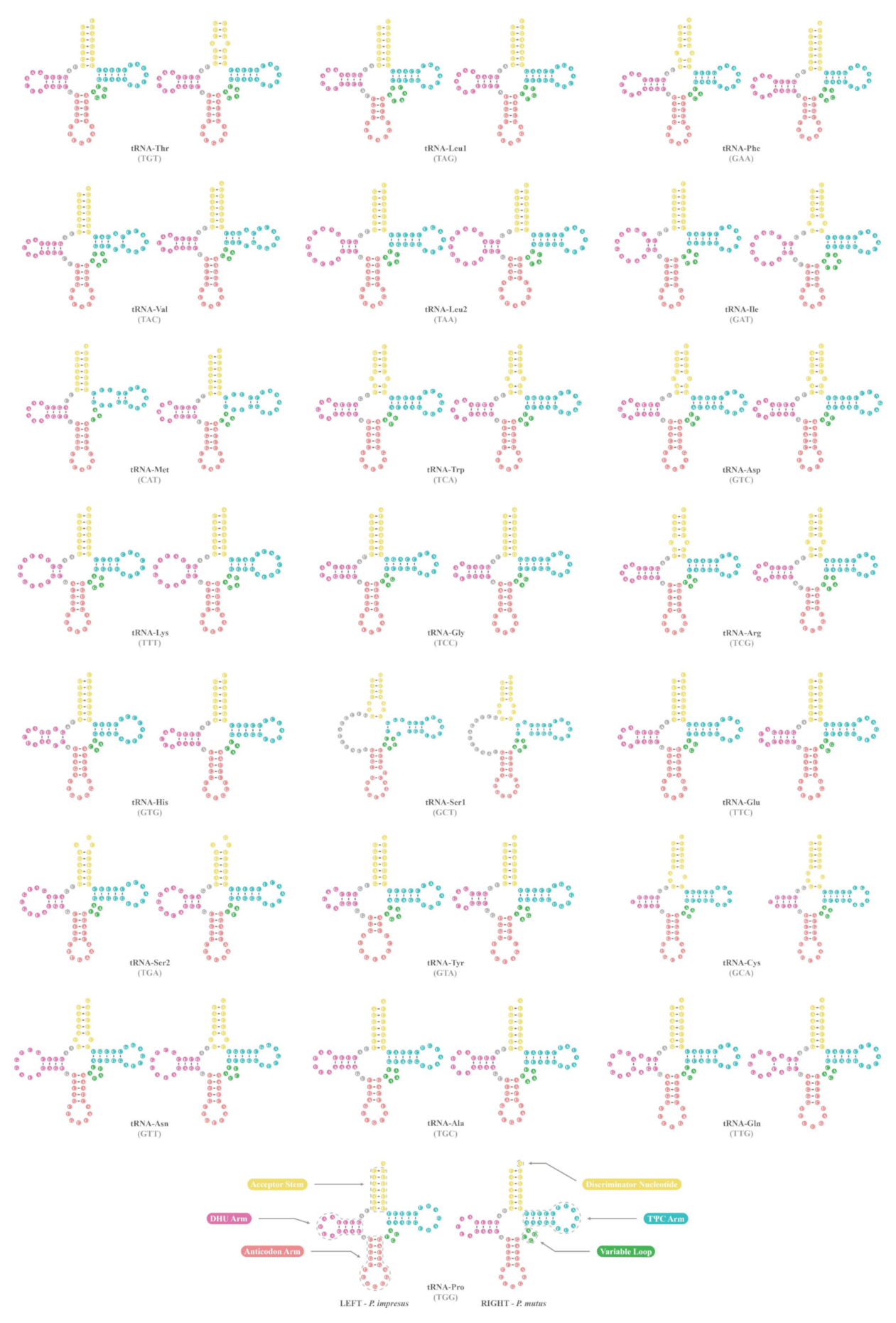 Animals 12 02449 g003