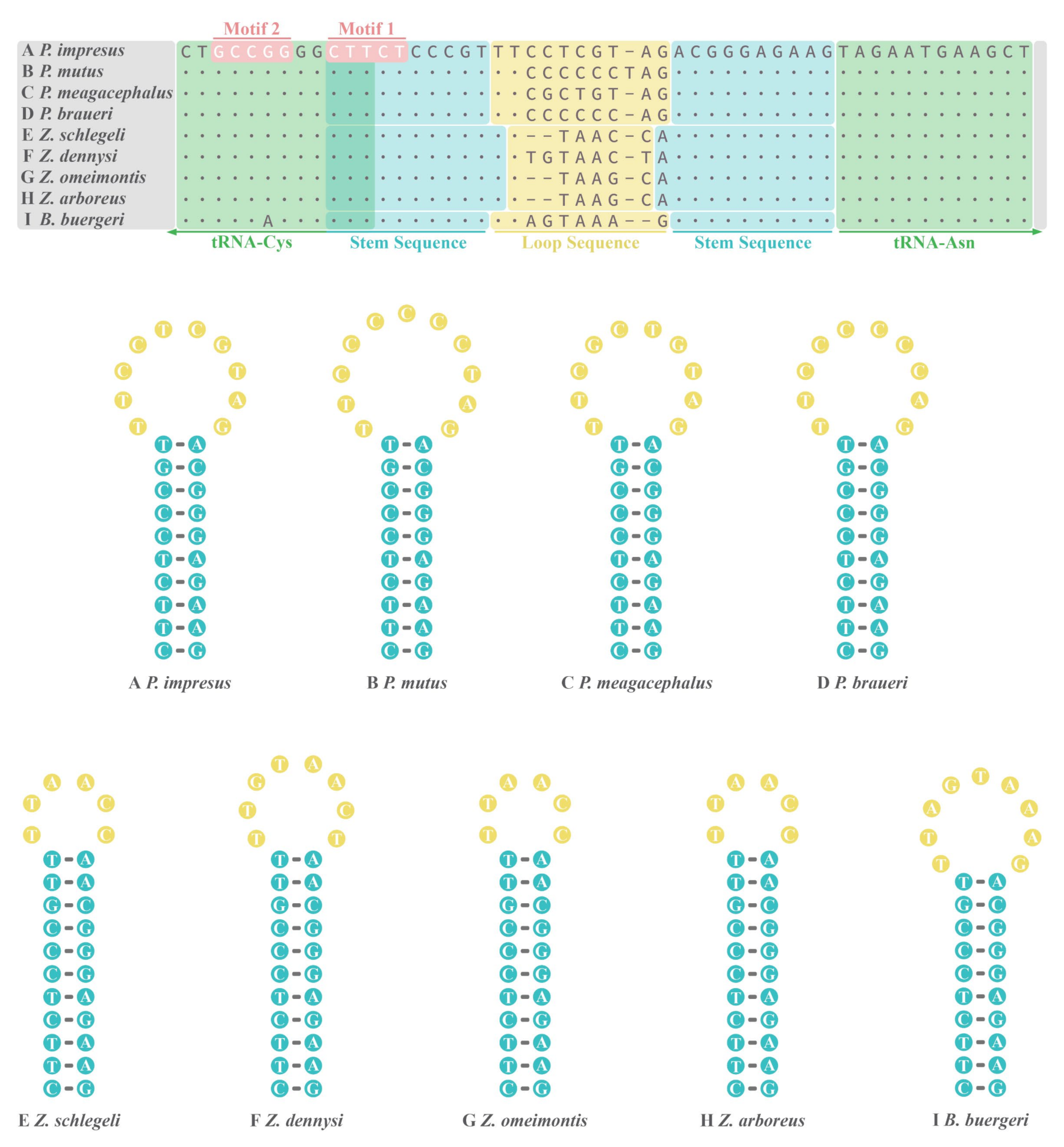 Animals 12 02449 g004
