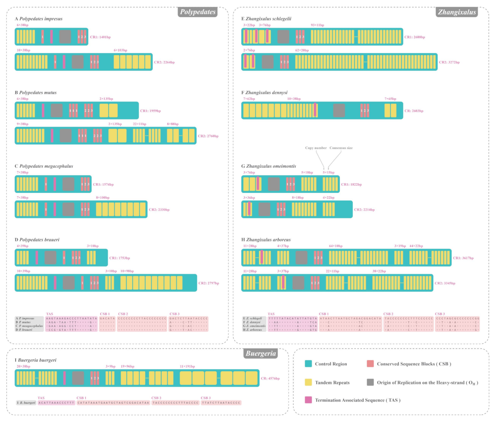 Animals 12 02449 g005