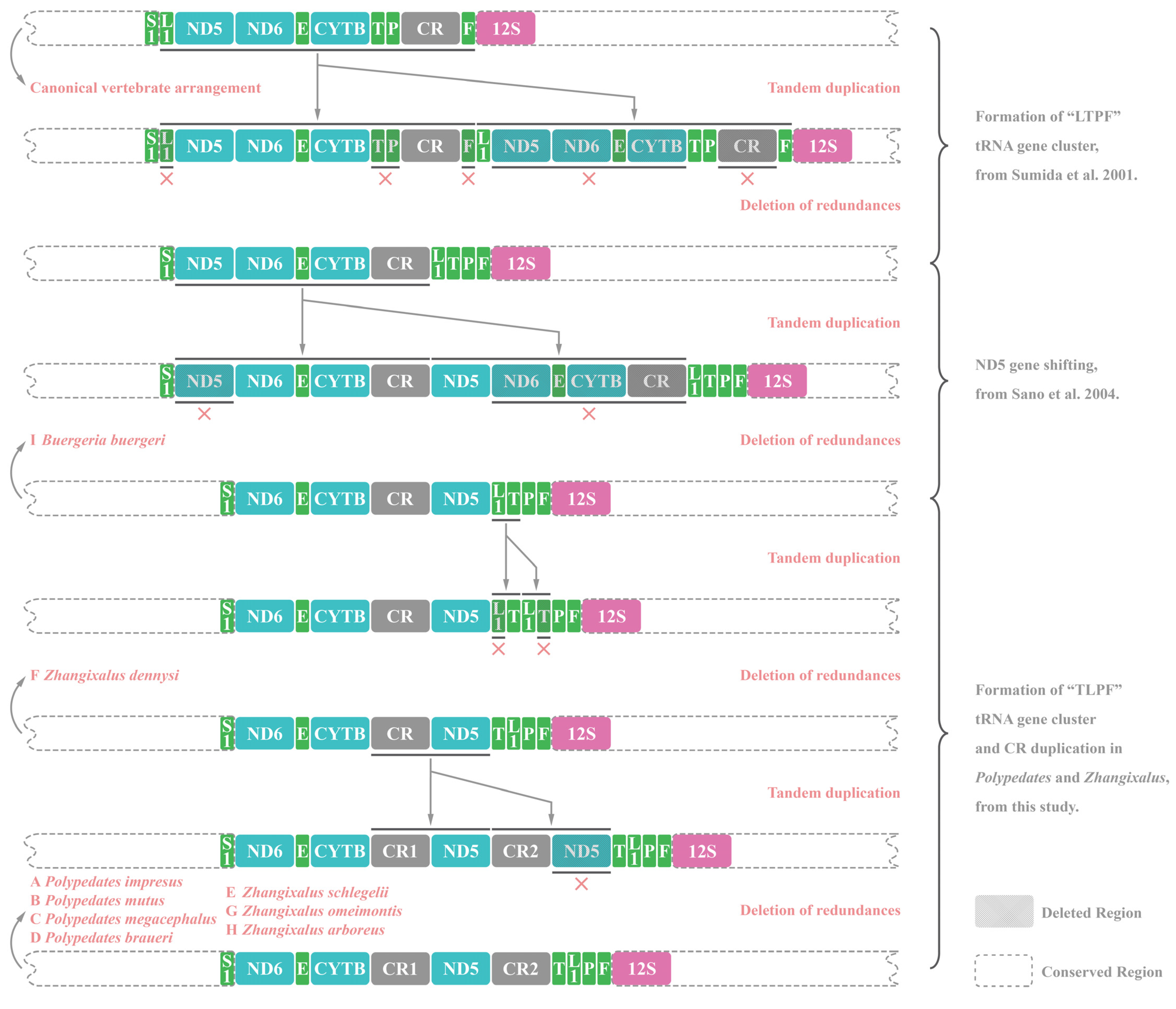 Animals 12 02449 g007