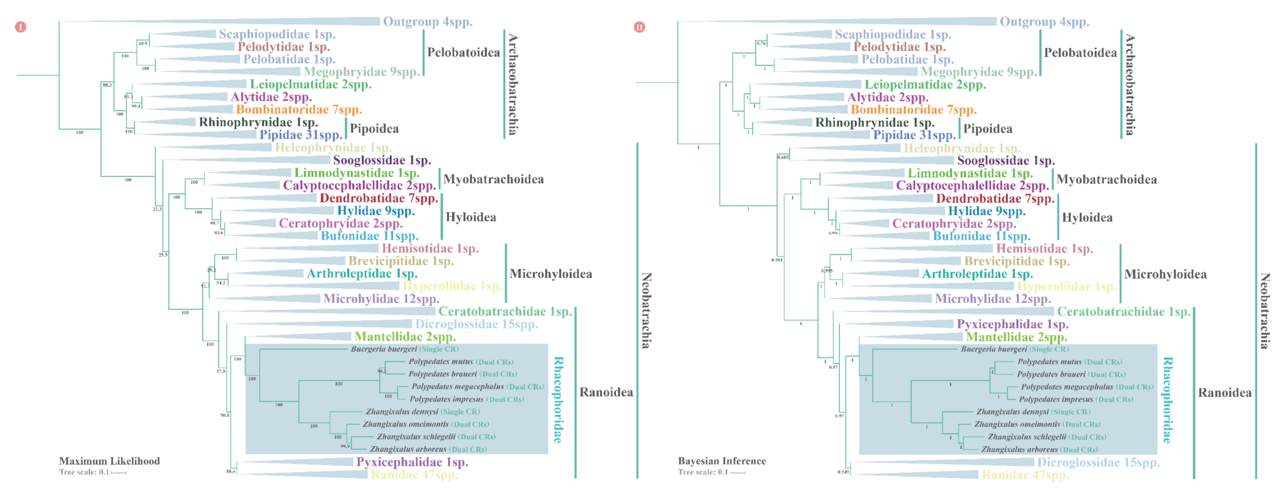 Animals 12 02449 g009