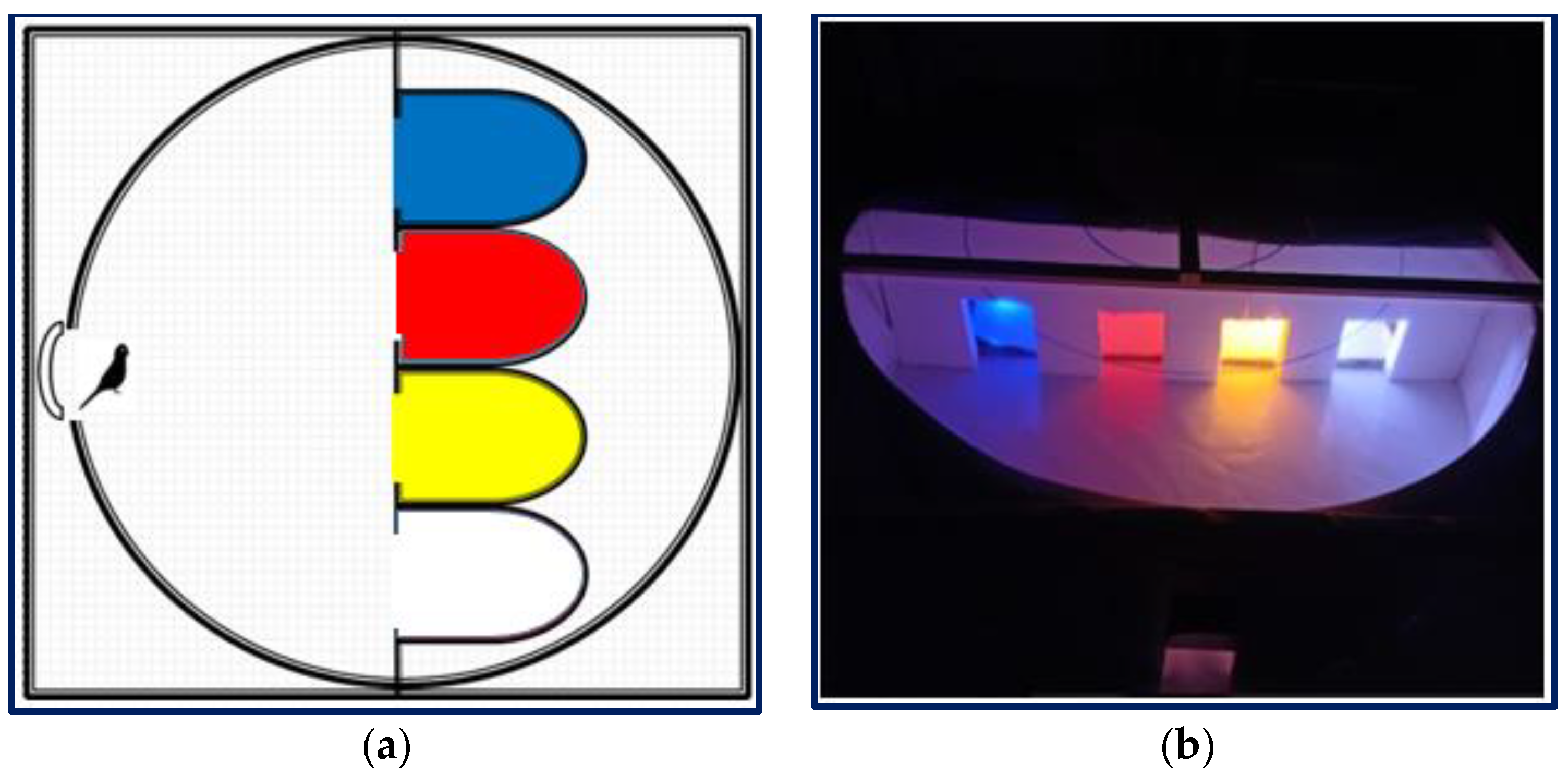 Animals 12 02454 g004 Animals 12 02454 g004