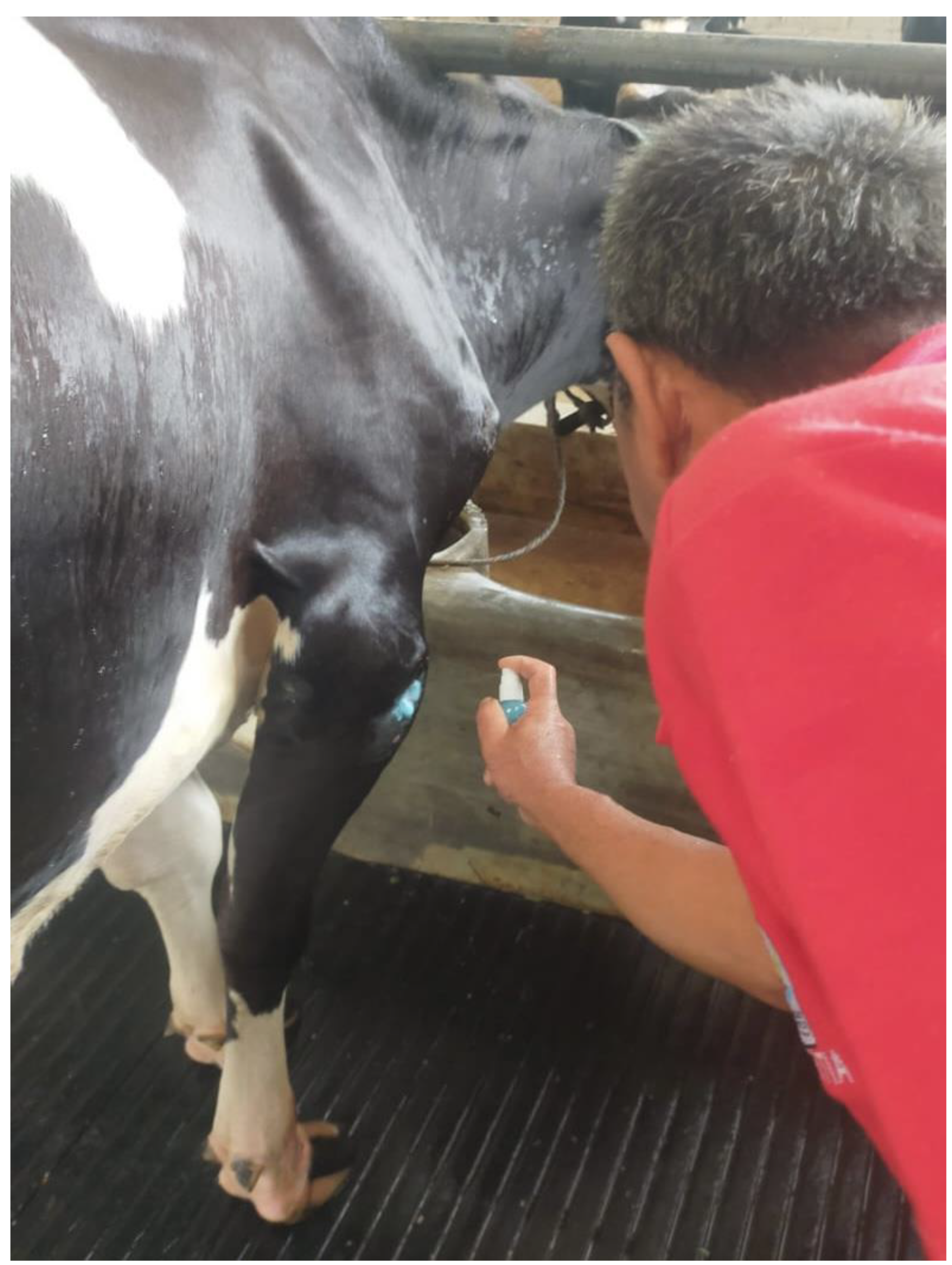 Animals 12 02459 g002