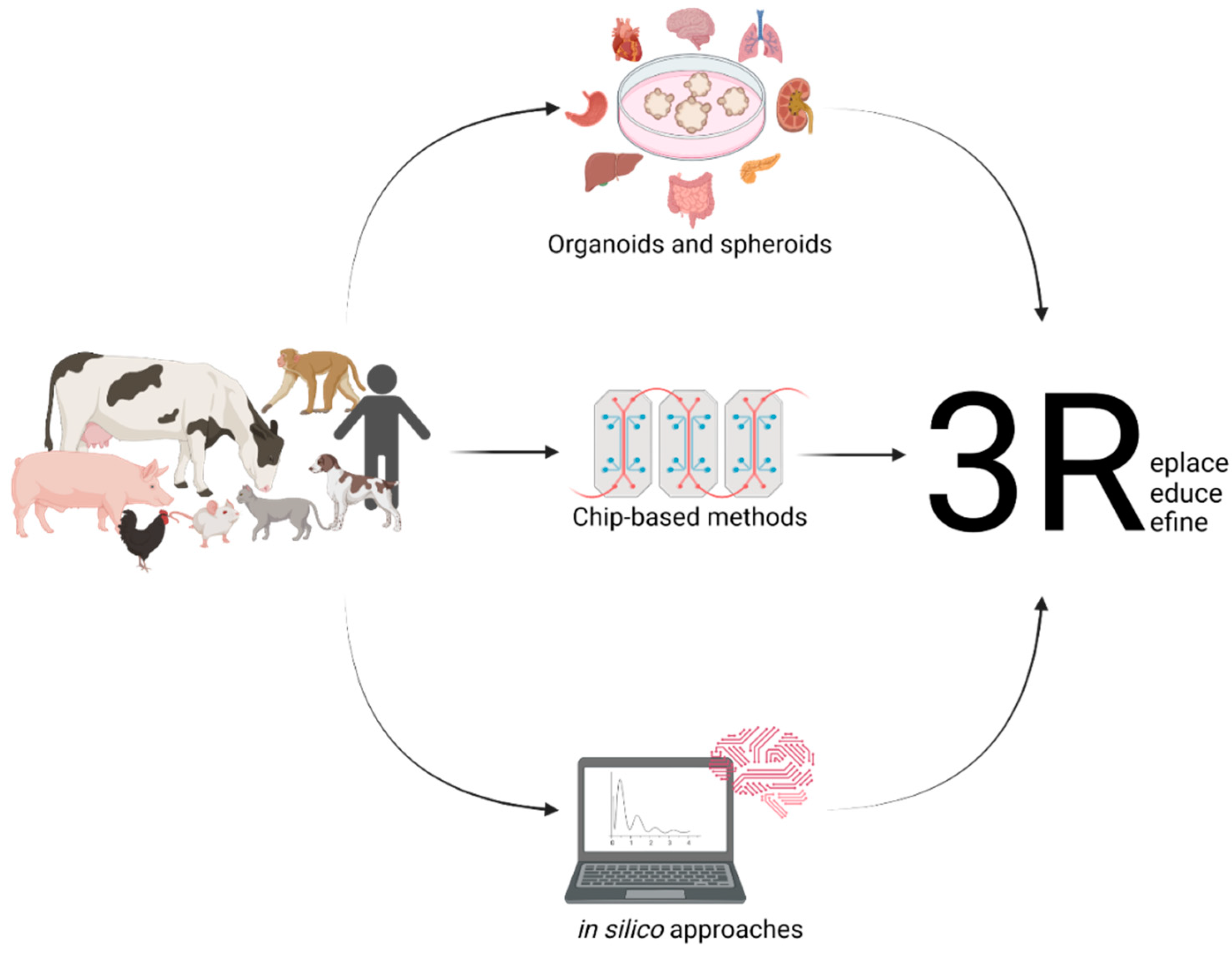 Animals 12 02461 g001 Animals 12 02461 g001