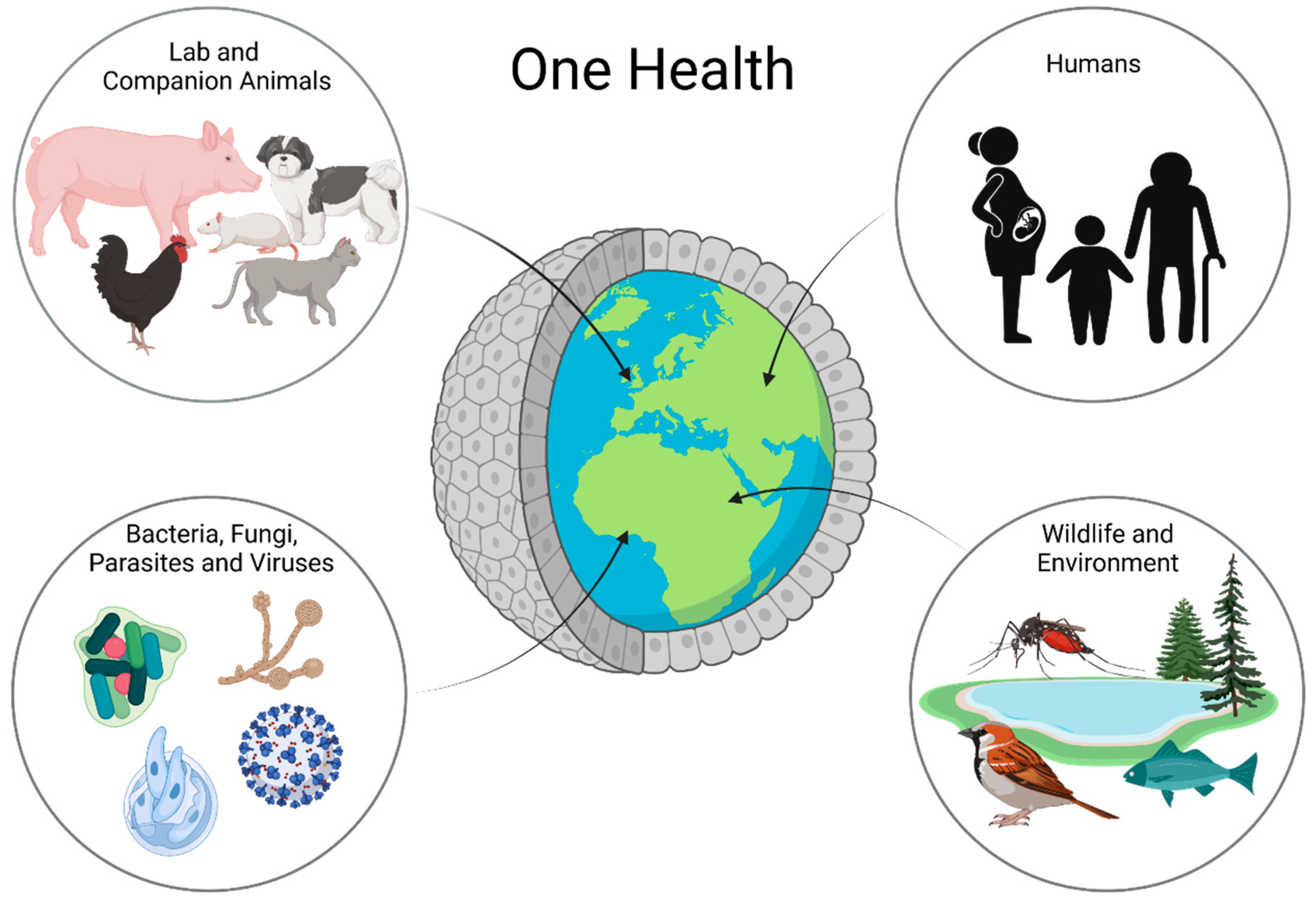 Animals 12 02461 g002 Animals 12 02461 g002