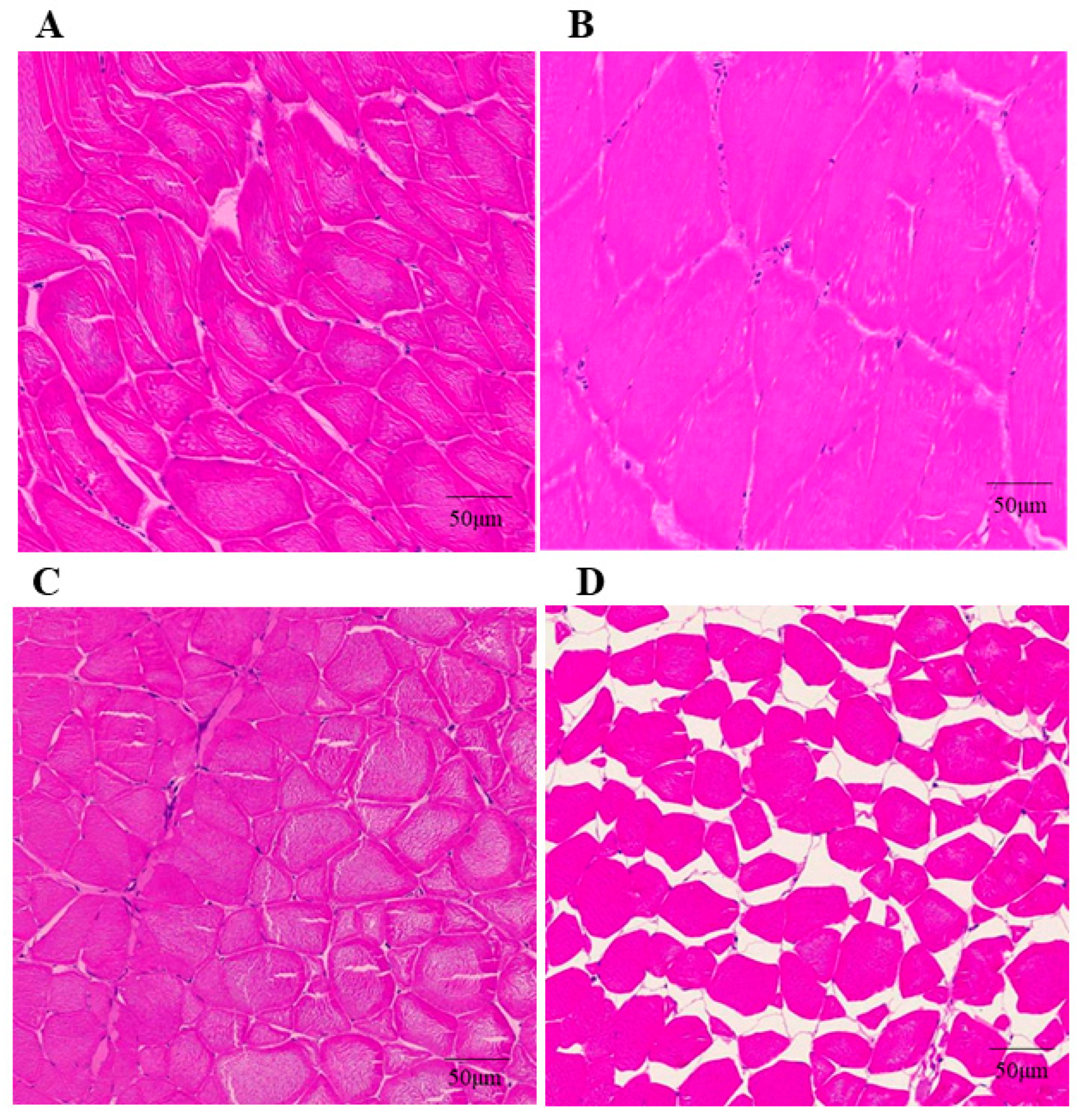 Animals 12 02474 g004 Animals 12 02474 g004