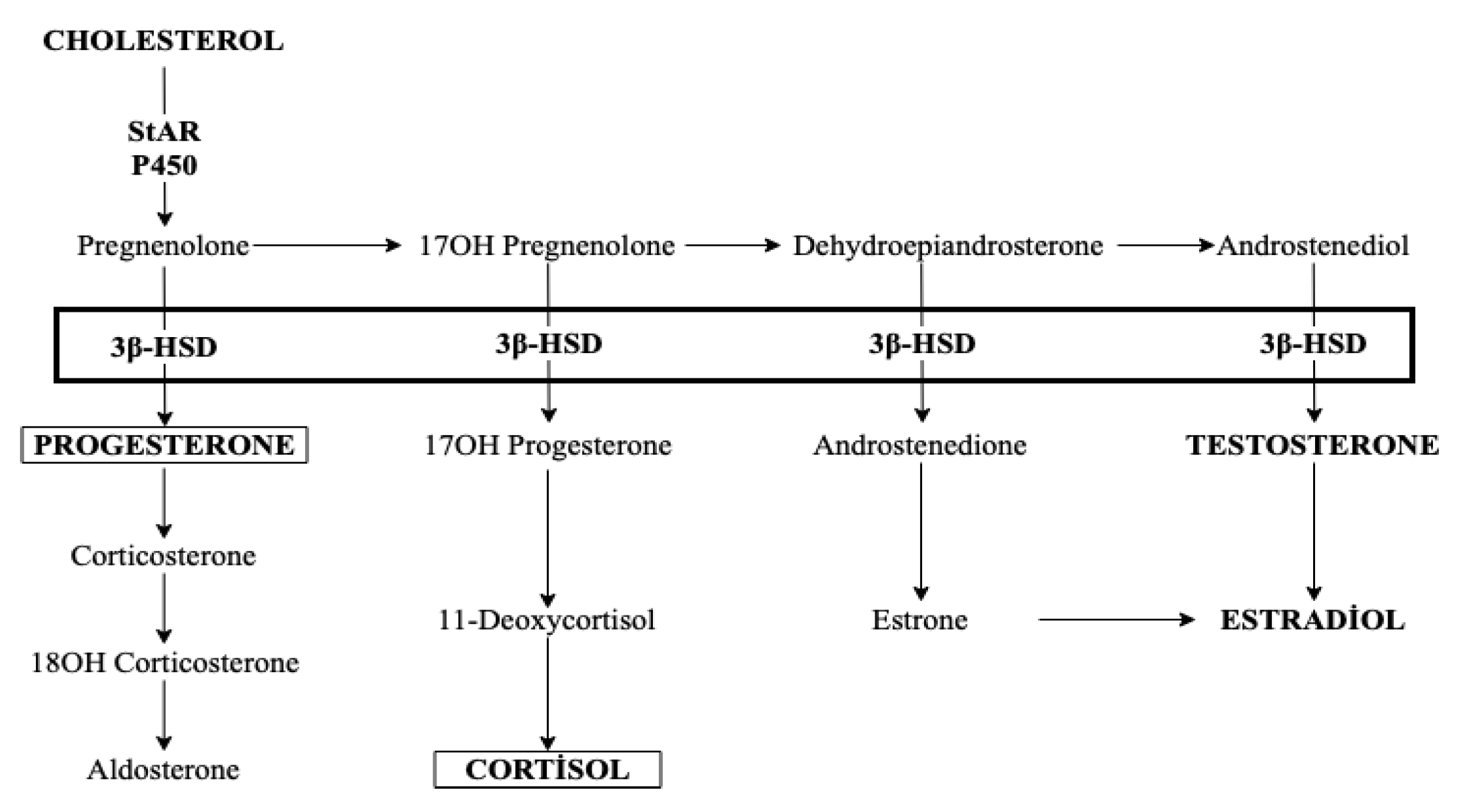 Animals 12 02475 g002