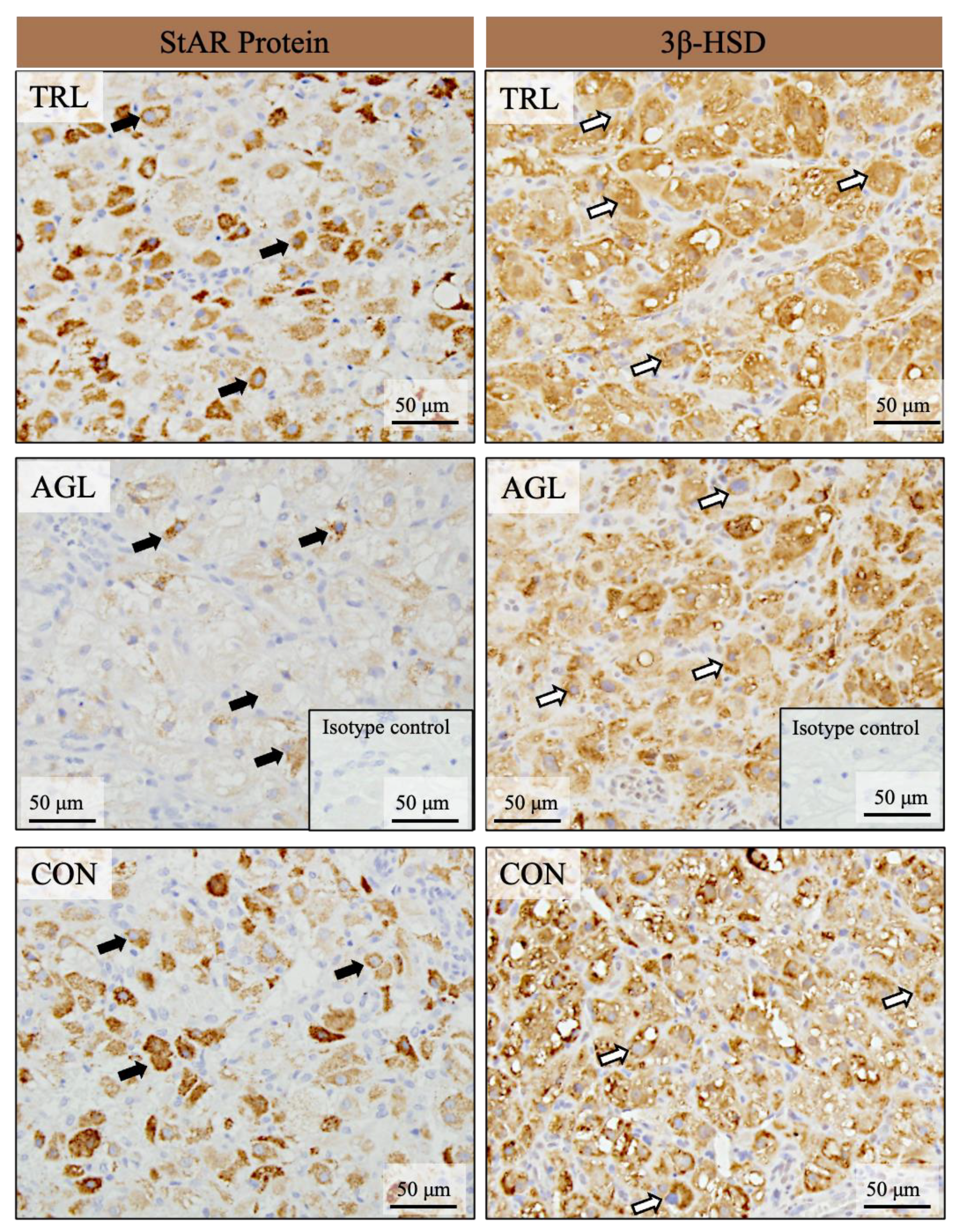 Animals 12 02475 g006