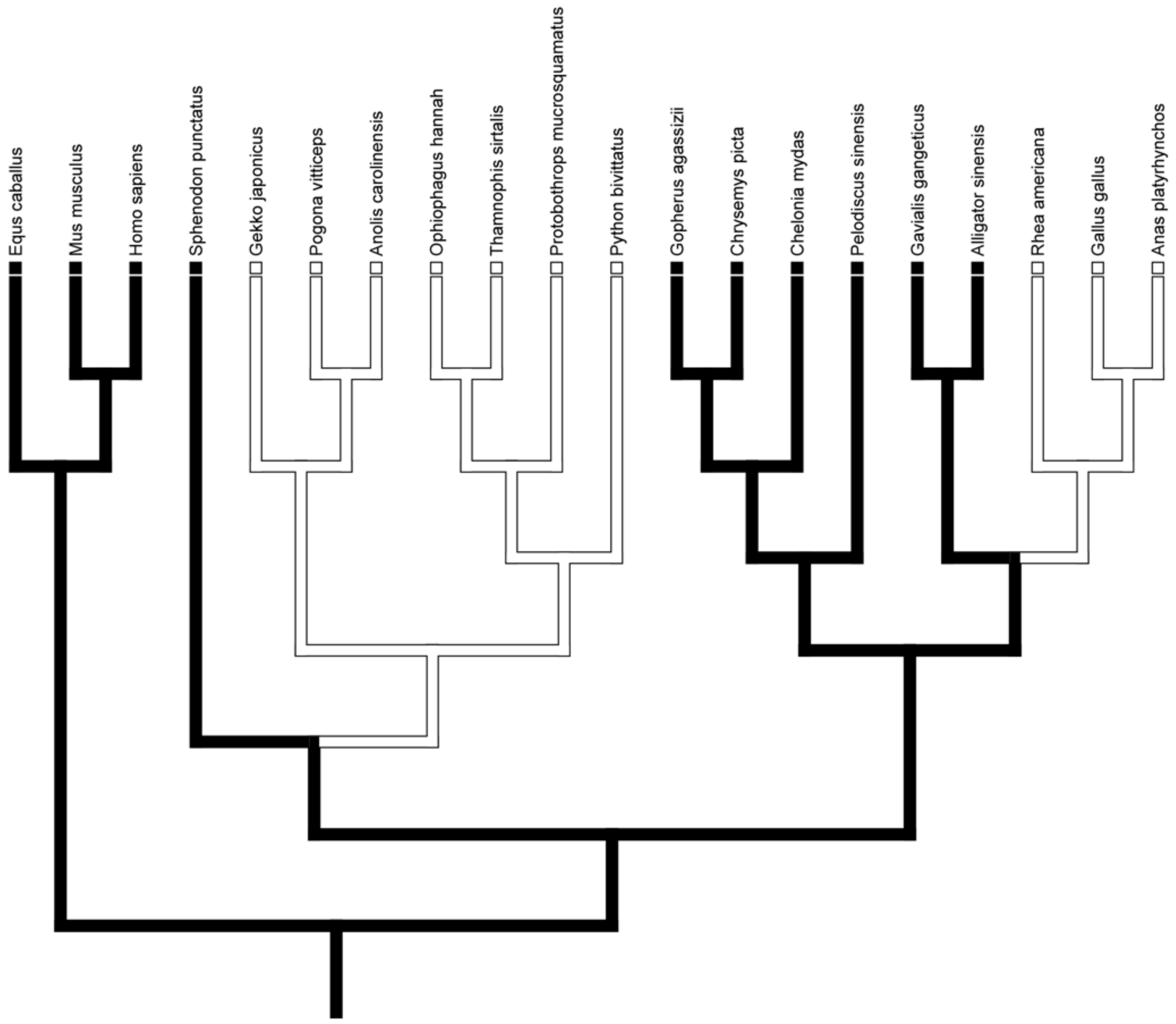 Animals 12 02482 g001