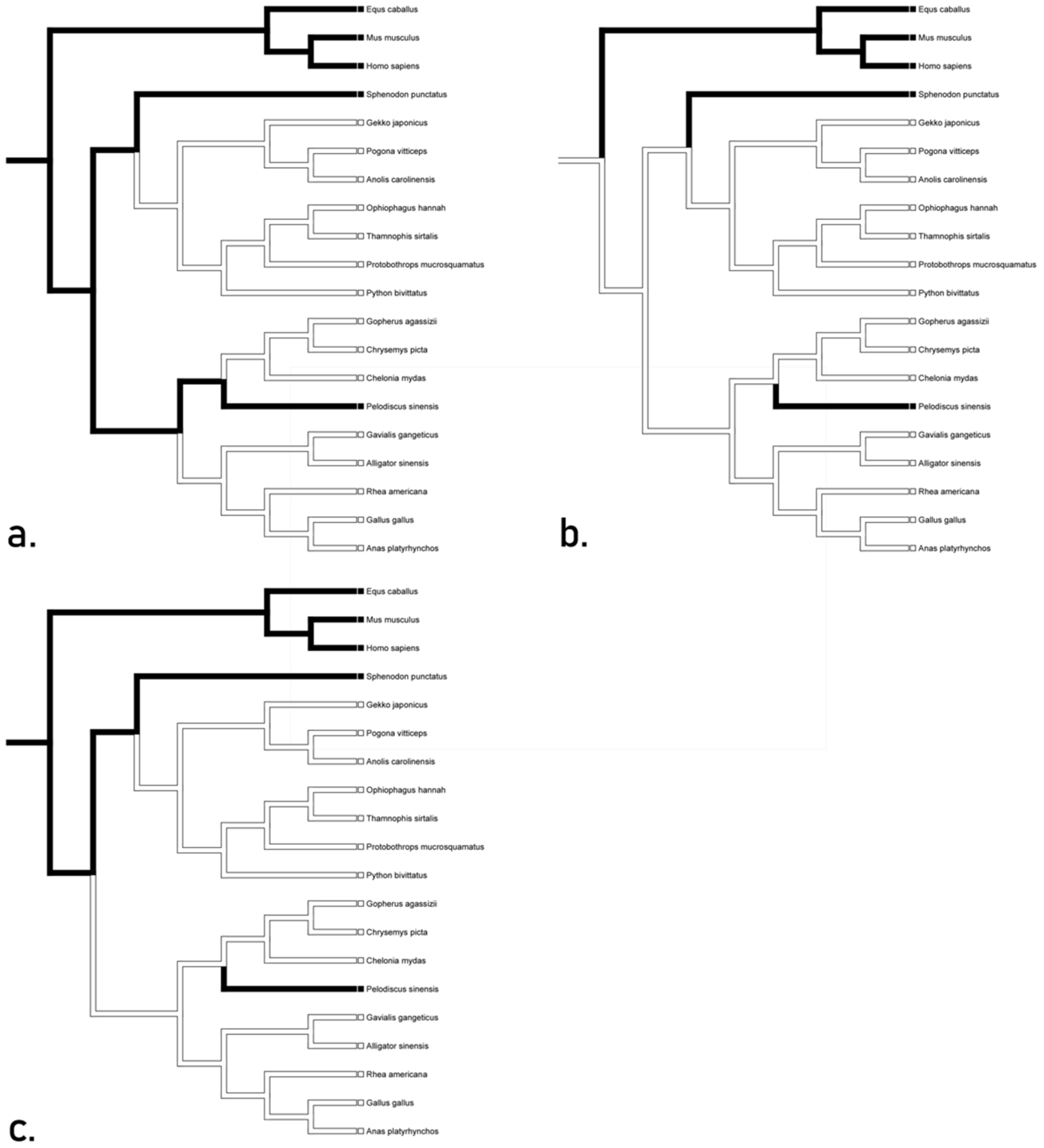 Animals 12 02482 g002