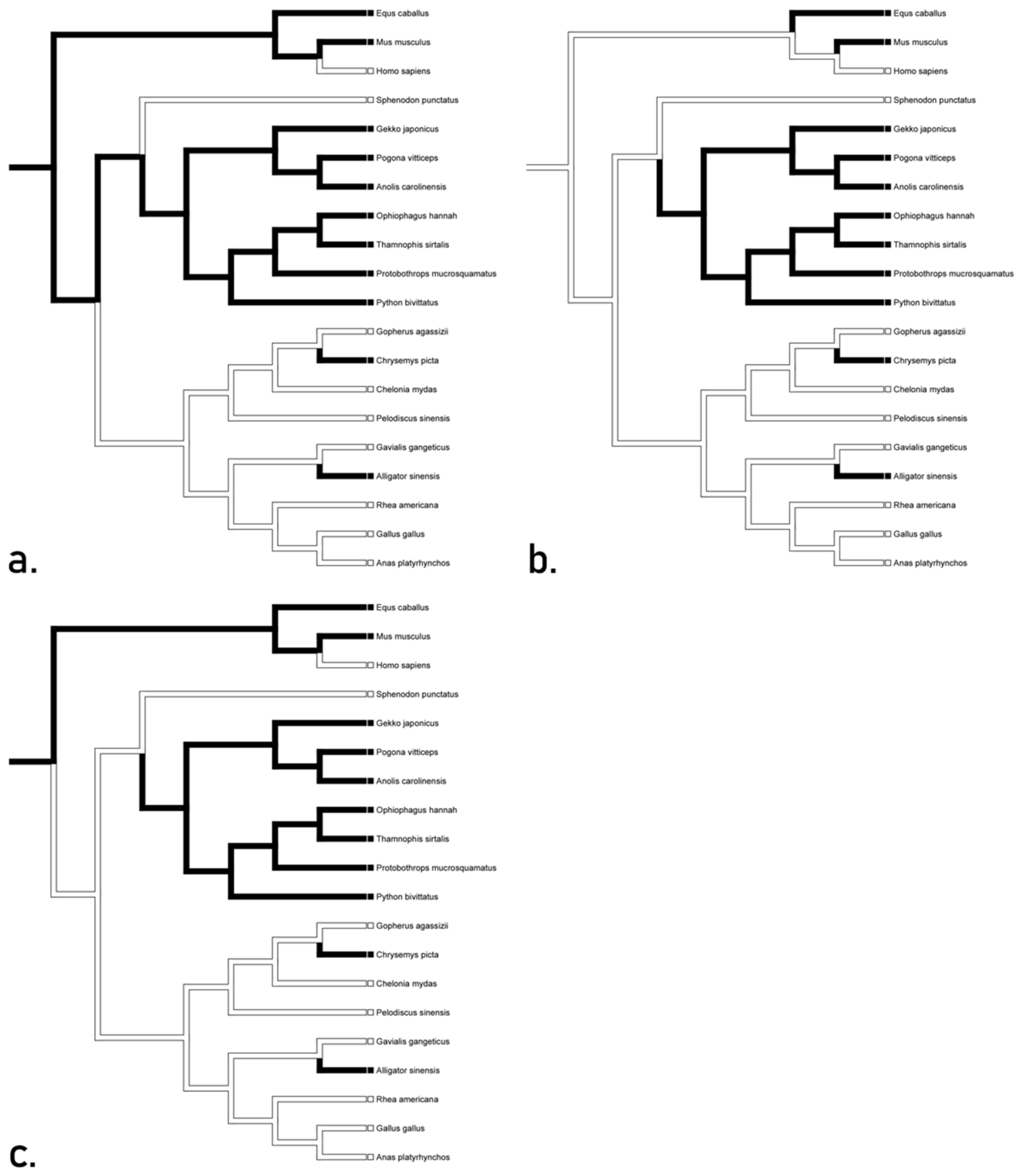 Animals 12 02482 g003