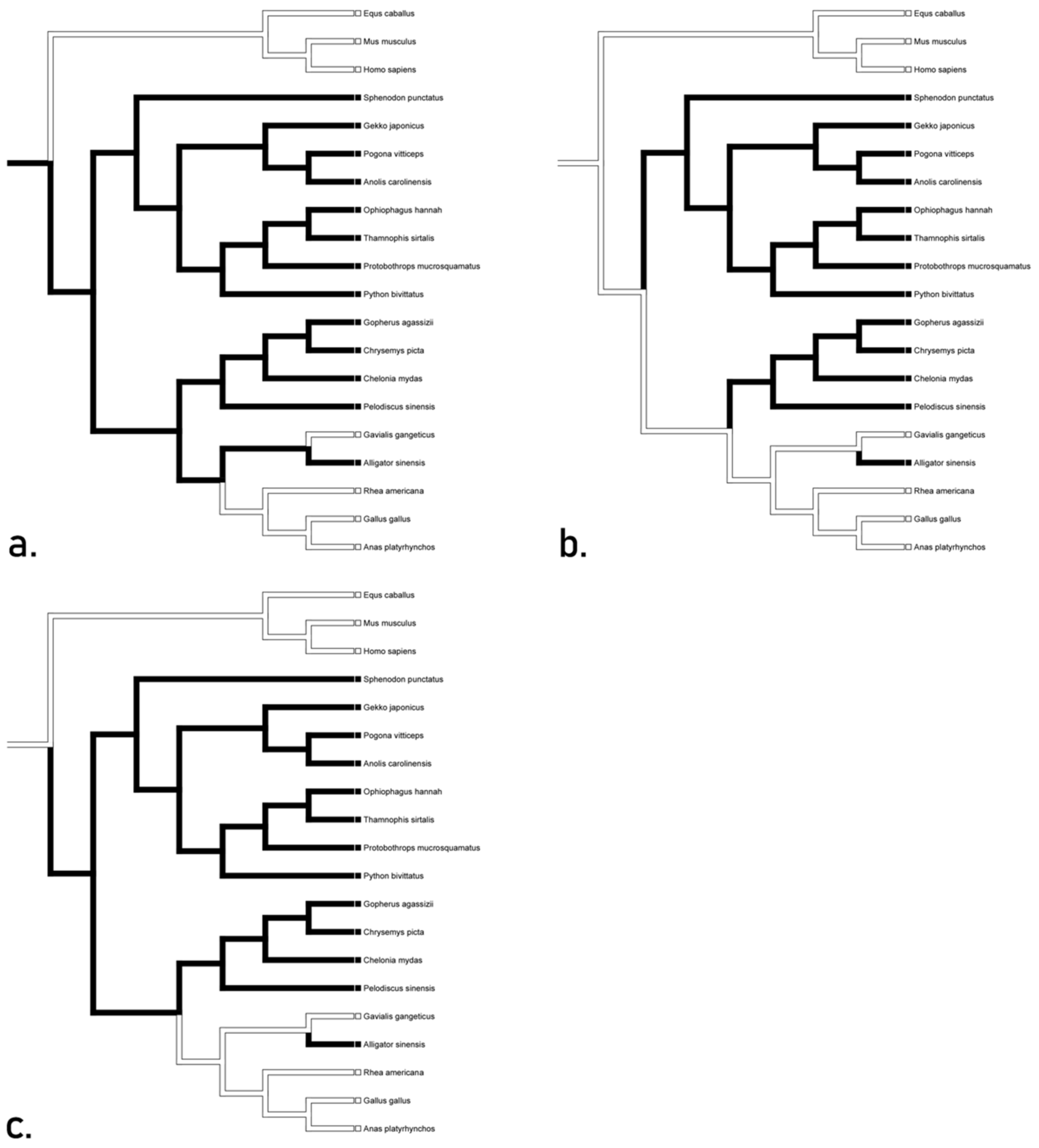 Animals 12 02482 g004