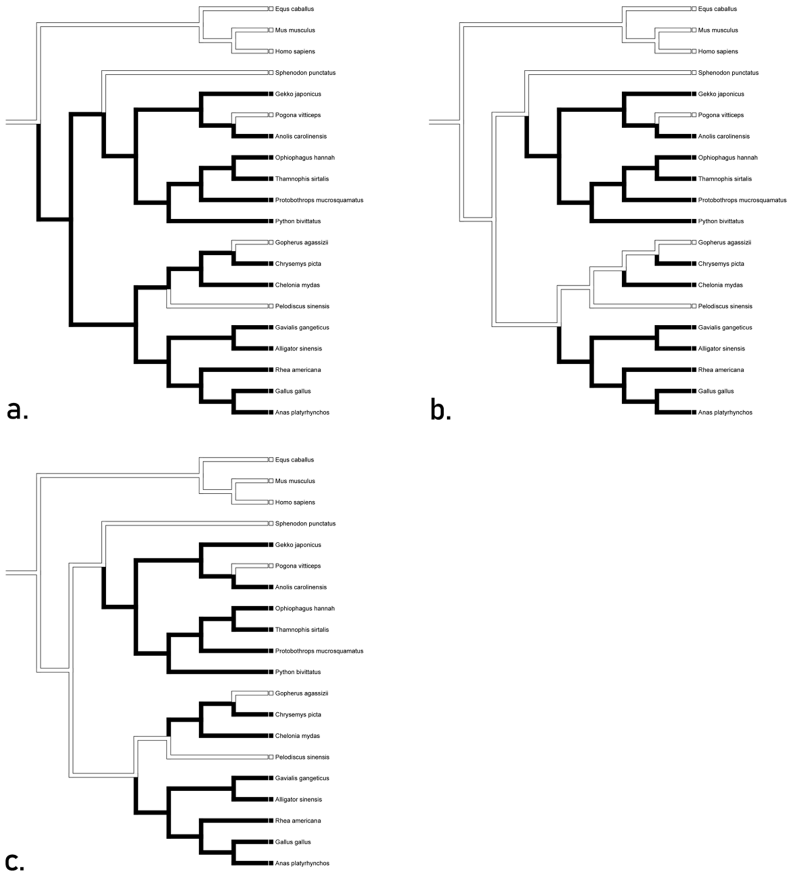 Animals 12 02482 g005