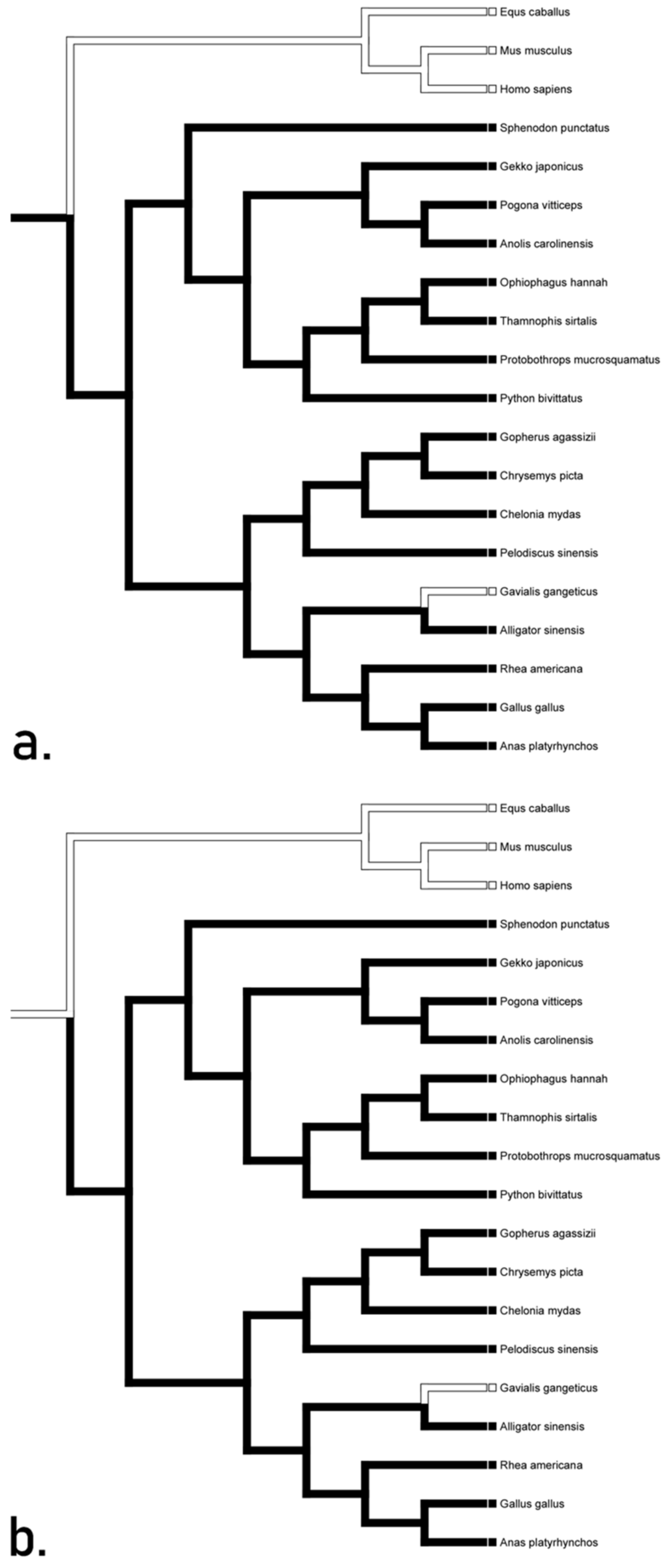 Animals 12 02482 g006
