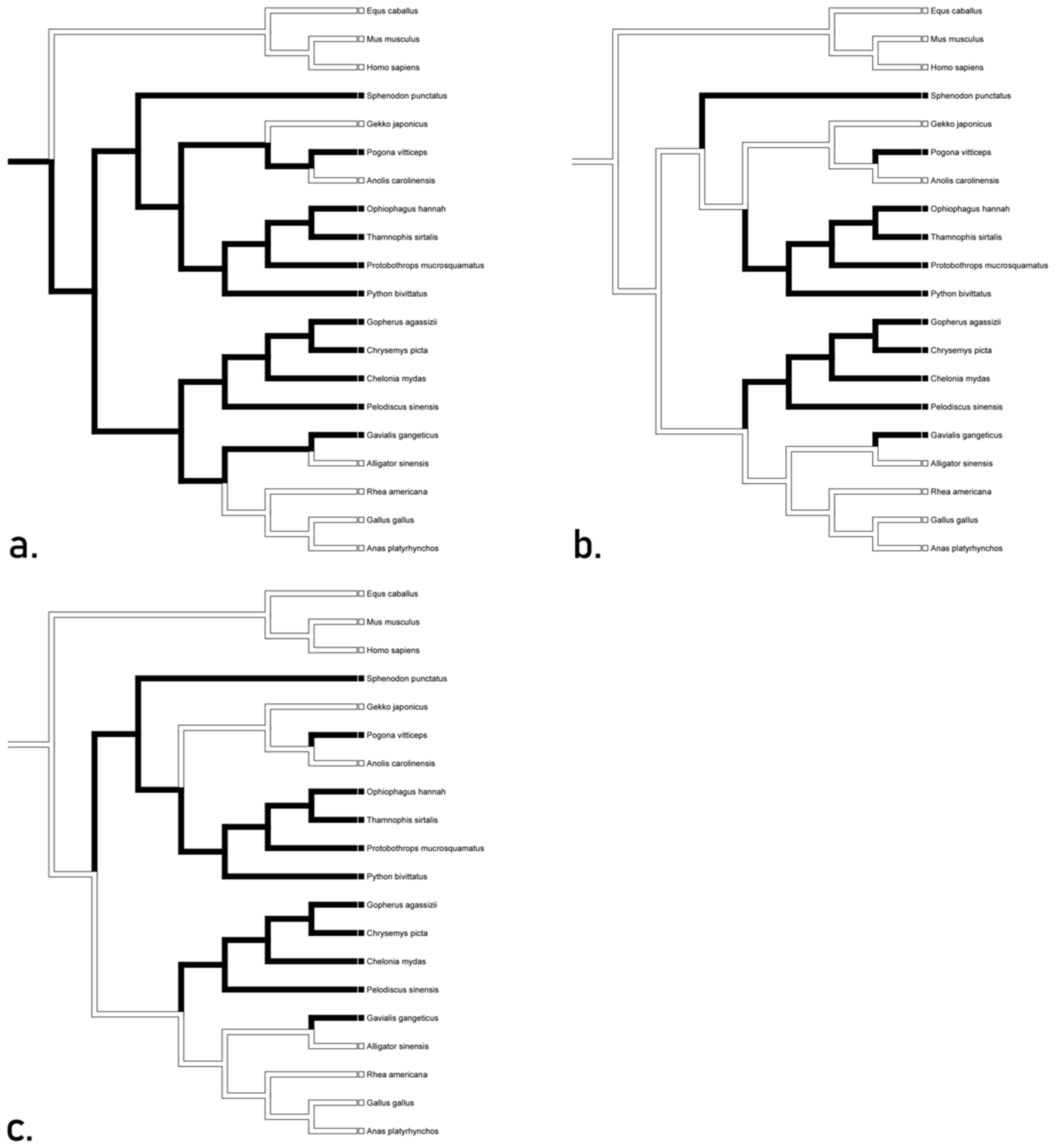 Animals 12 02482 g007