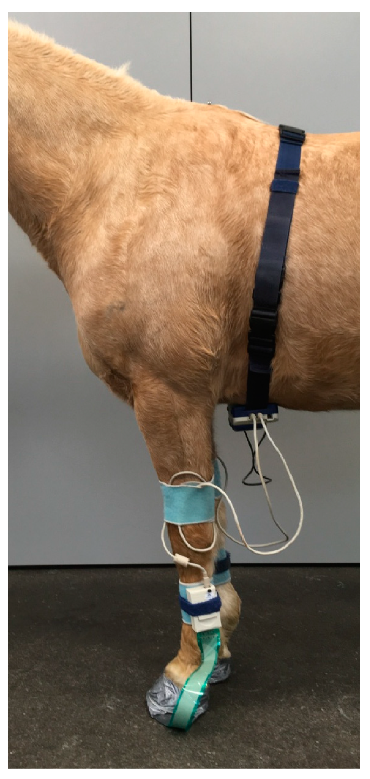 Animals 12 02485 g001