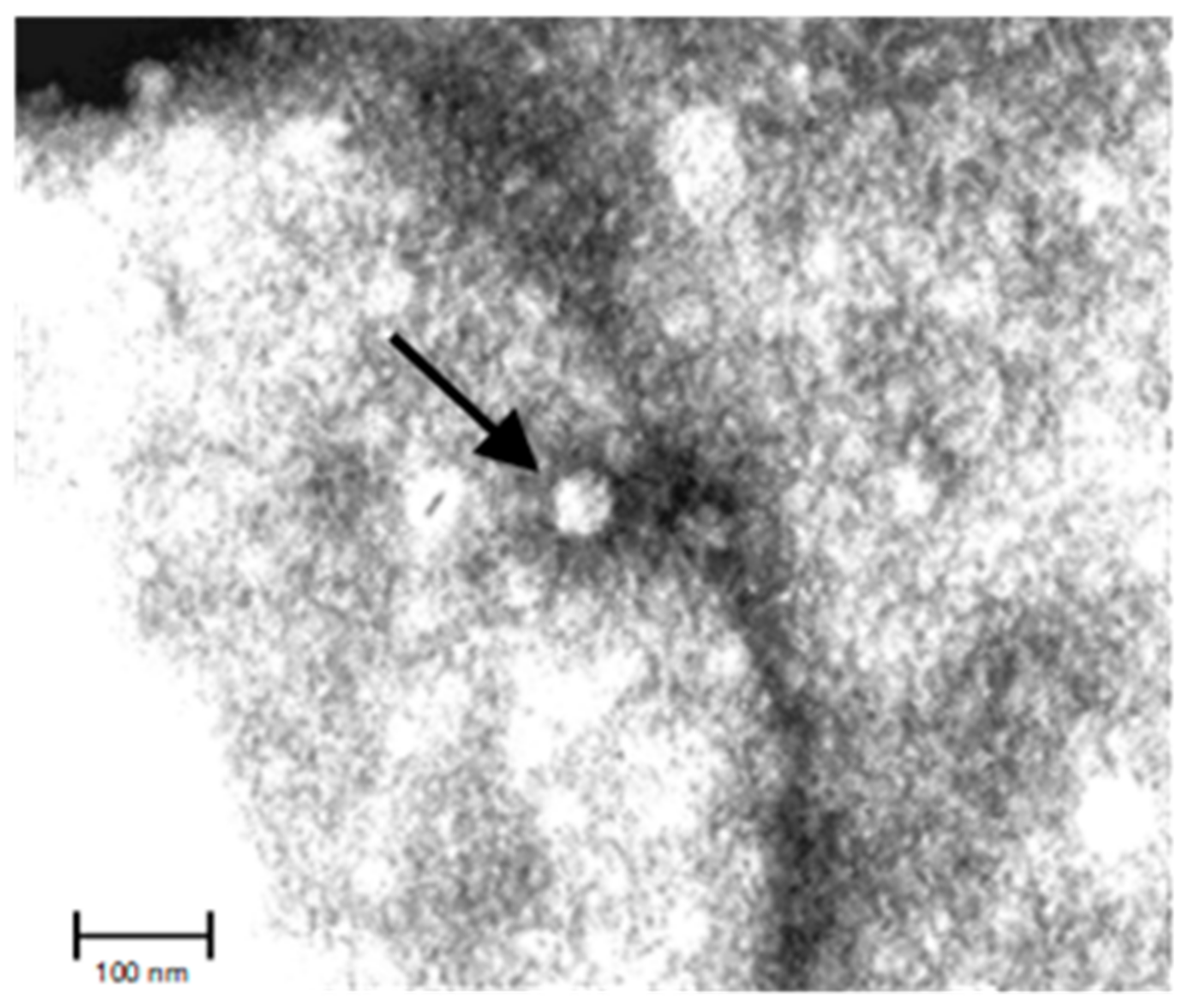 Animals 12 02486 g001 Animals 12 02486 g001