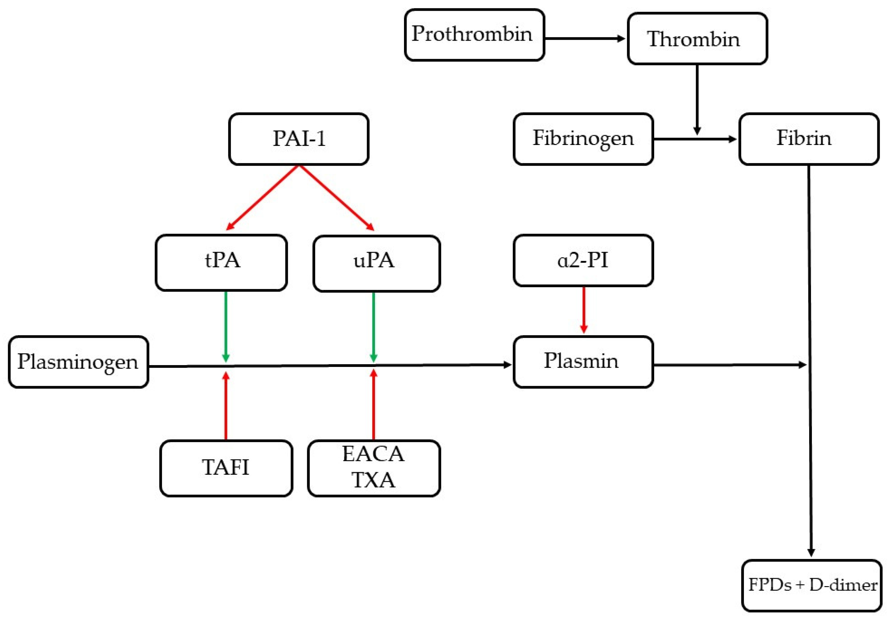 Animals 12 02487 g001 Animals 12 02487 g001