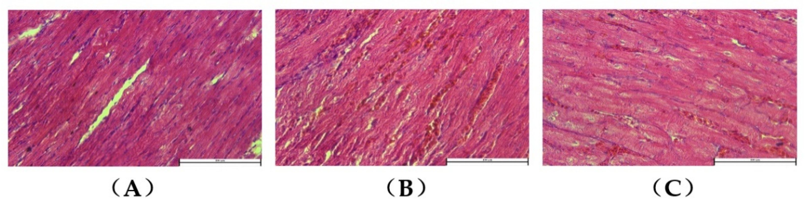 Animals 12 02488 g002 Animals 12 02488 g002