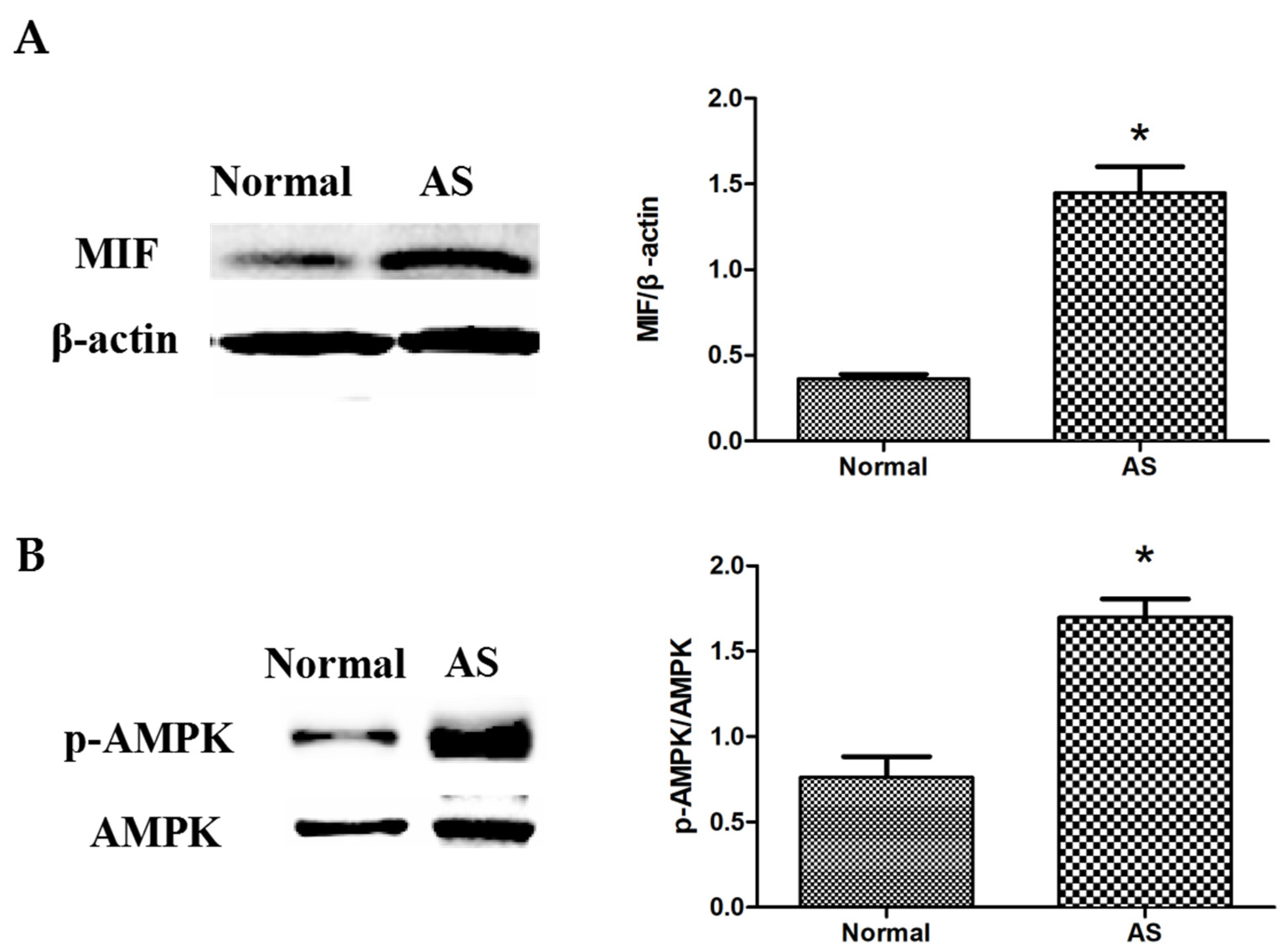 Animals 12 02488 g003 Animals 12 02488 g003