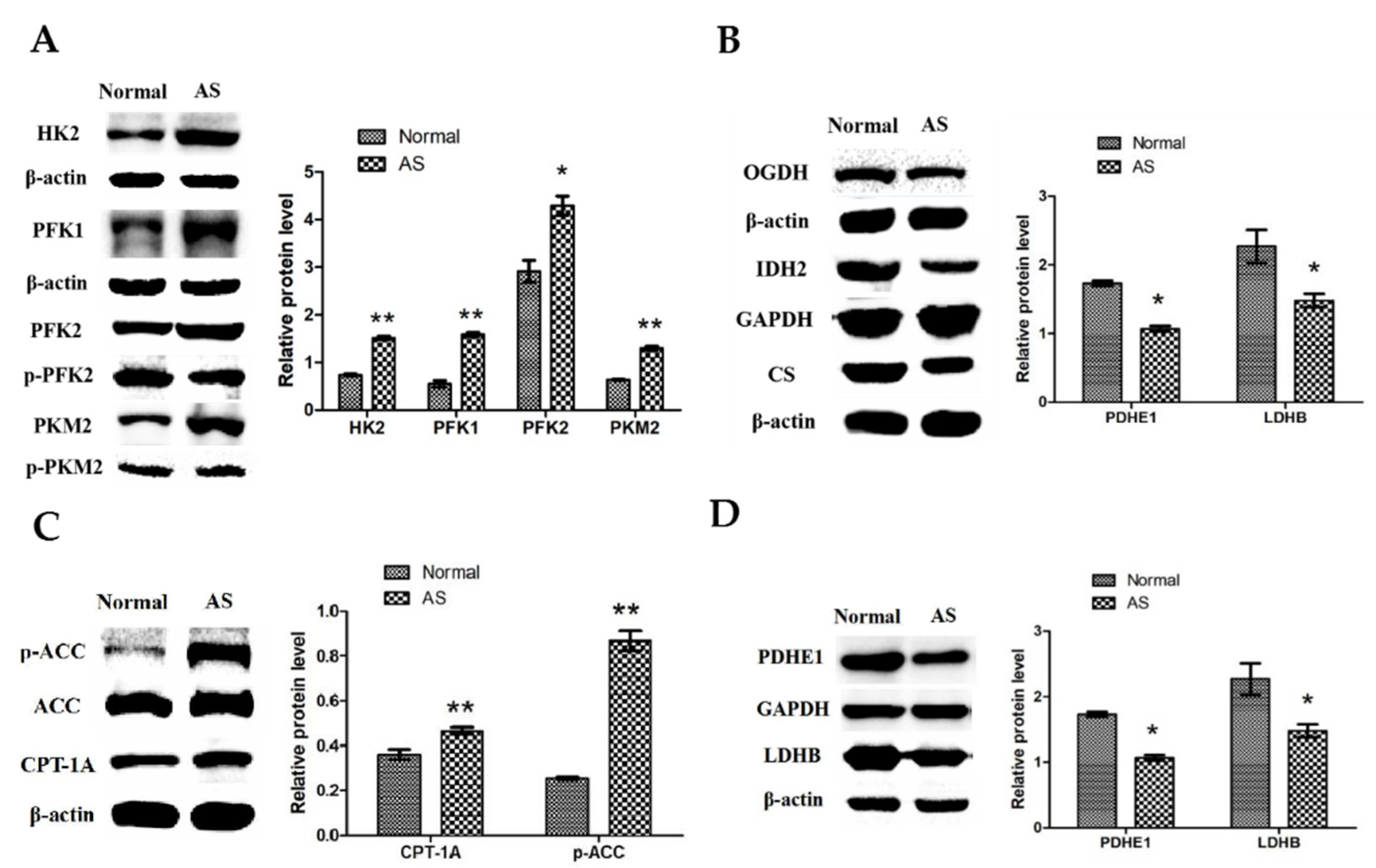 Animals 12 02488 g004 Animals 12 02488 g004