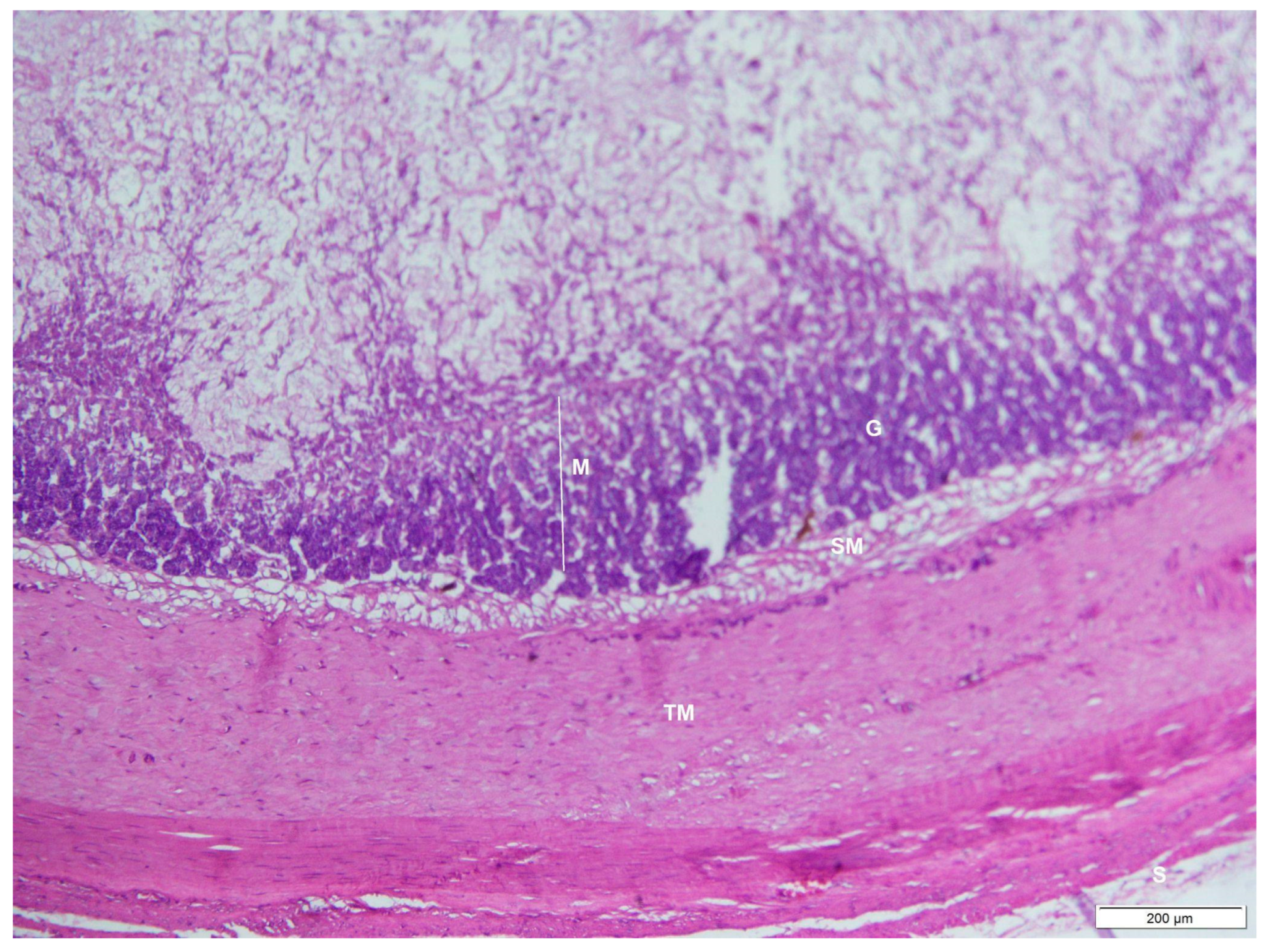 Animals 12 02493 g006