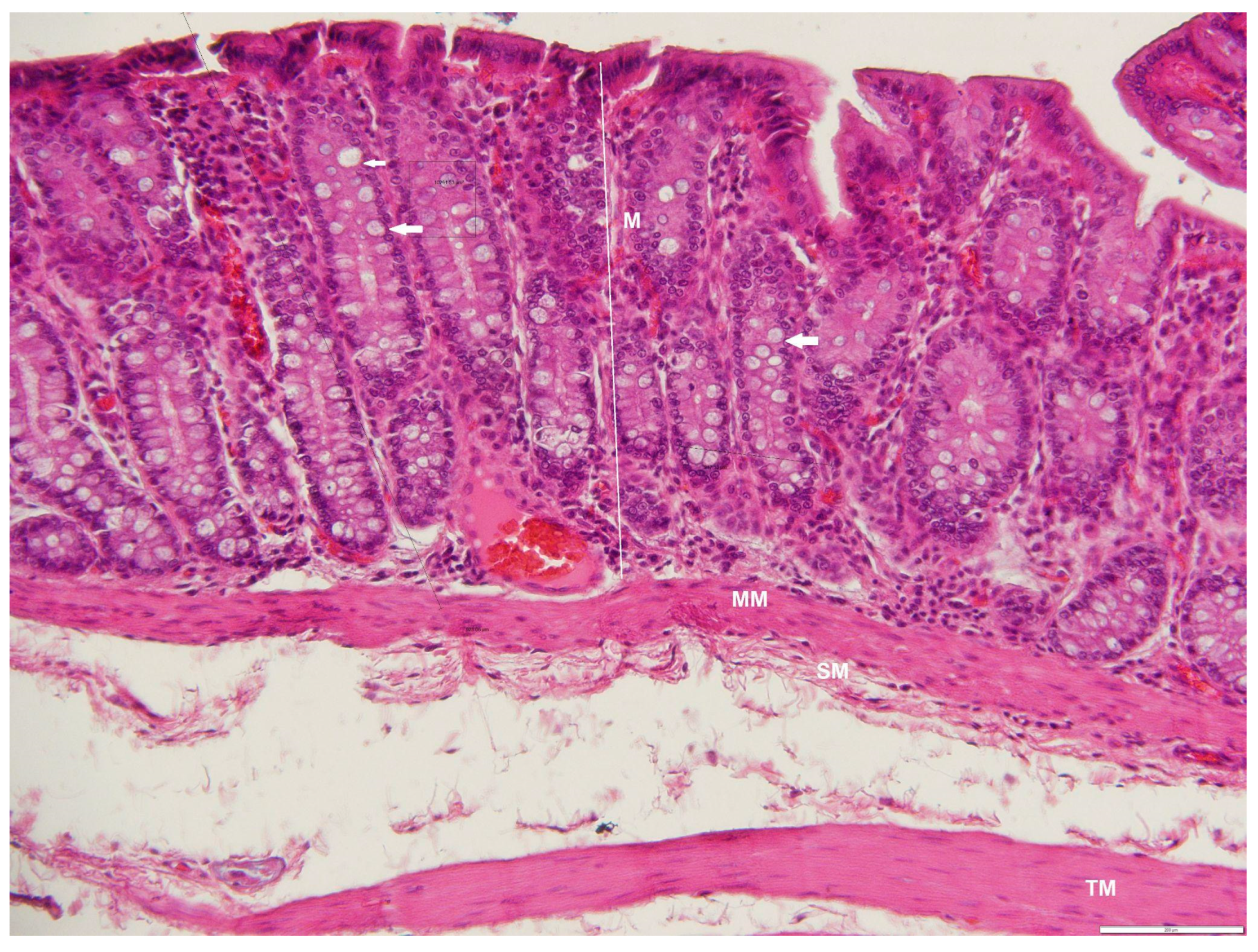 Animals 12 02493 g014