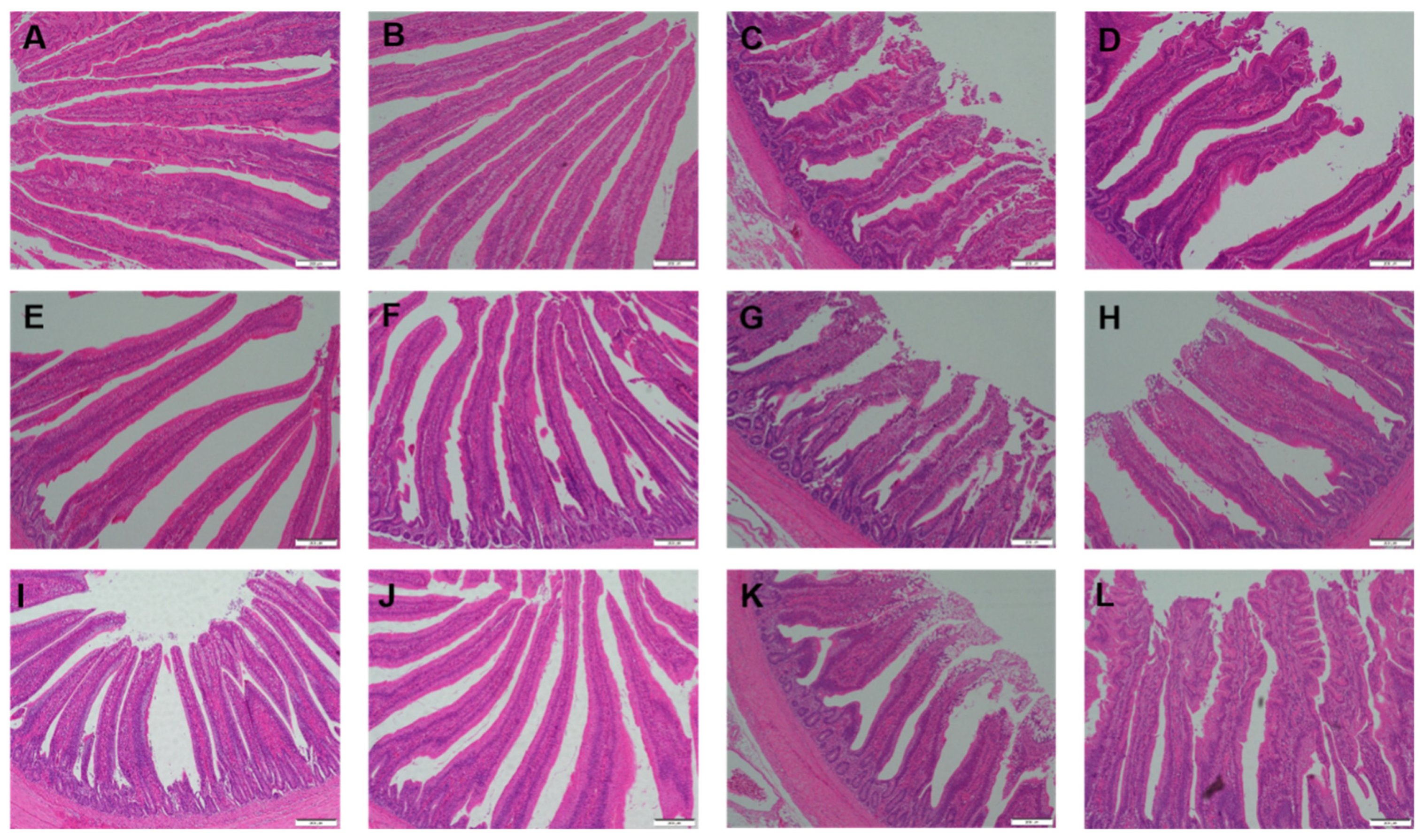 Animals 12 02497 g001 Animals 12 02497 g001