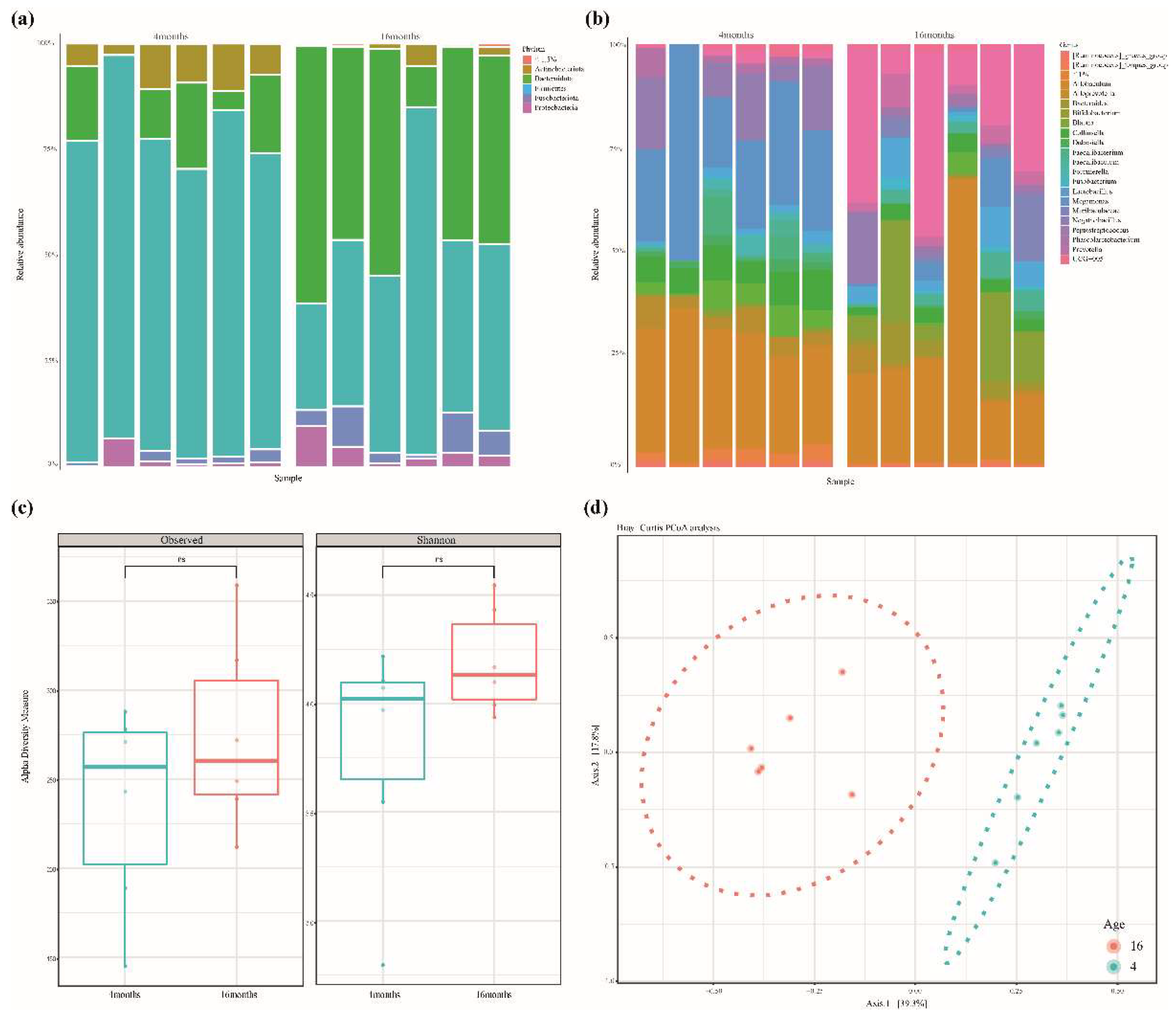 Animals 12 02499 g001