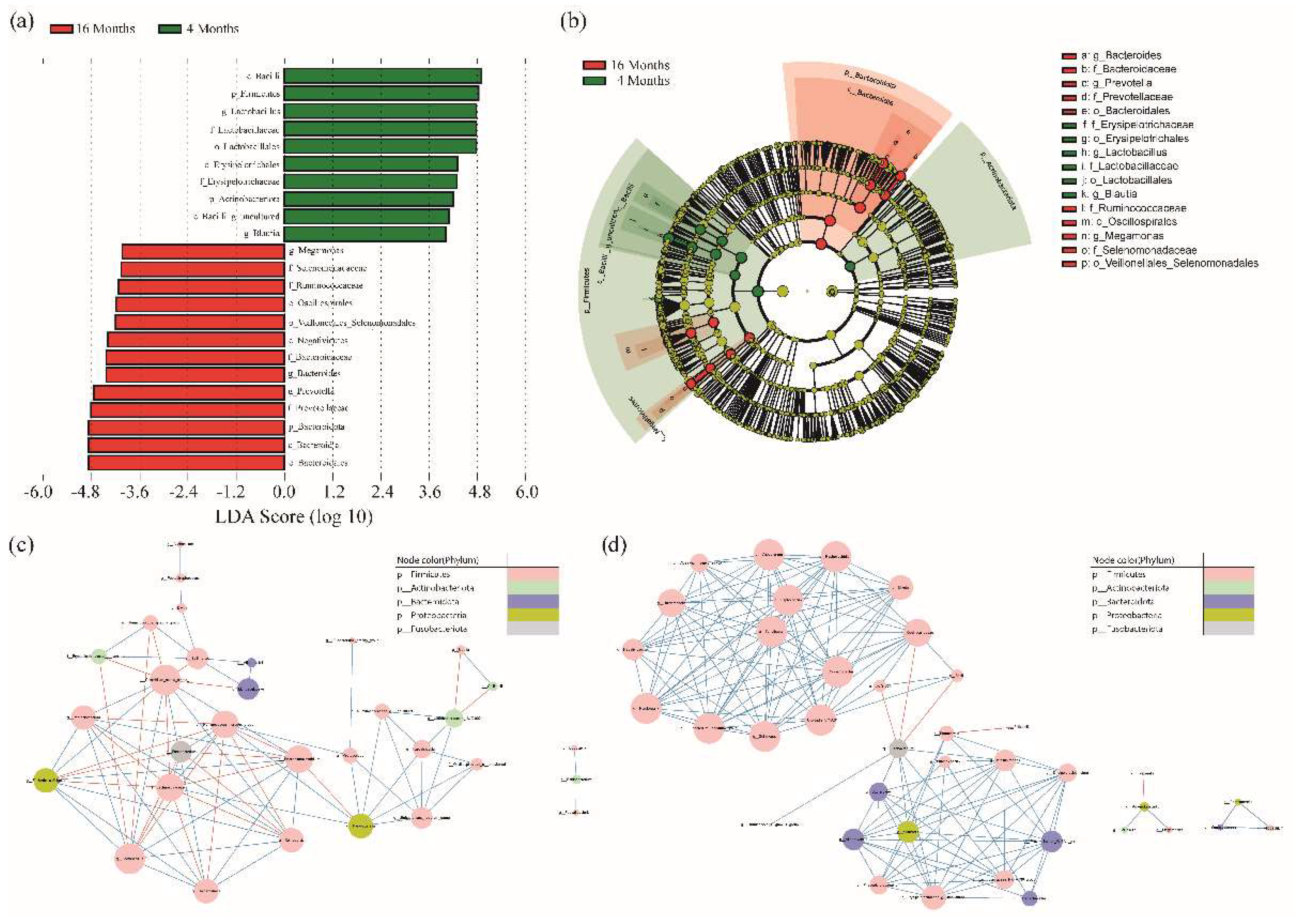 Animals 12 02499 g002