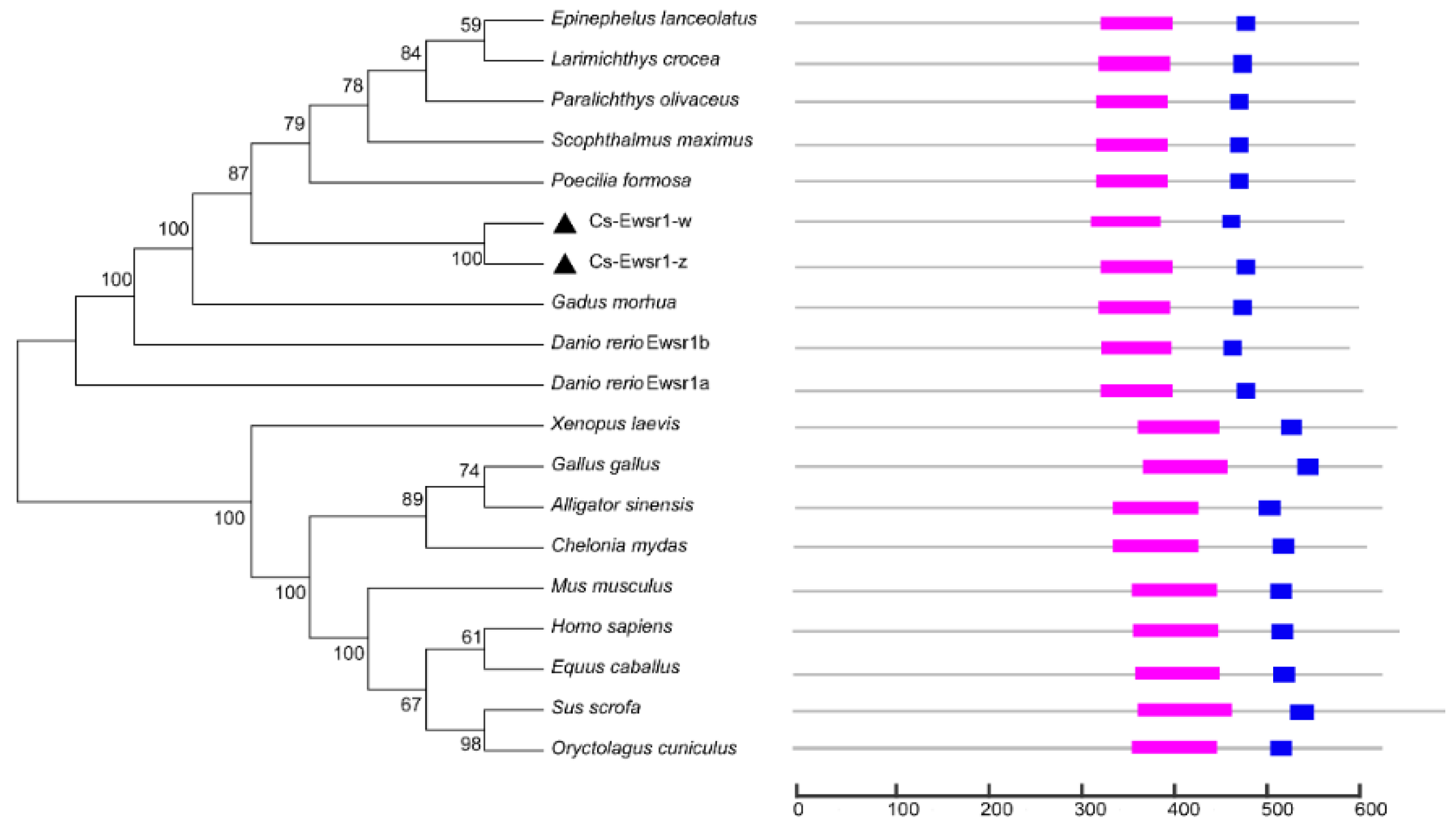 Animals 12 02503 g002 Animals 12 02503 g002
