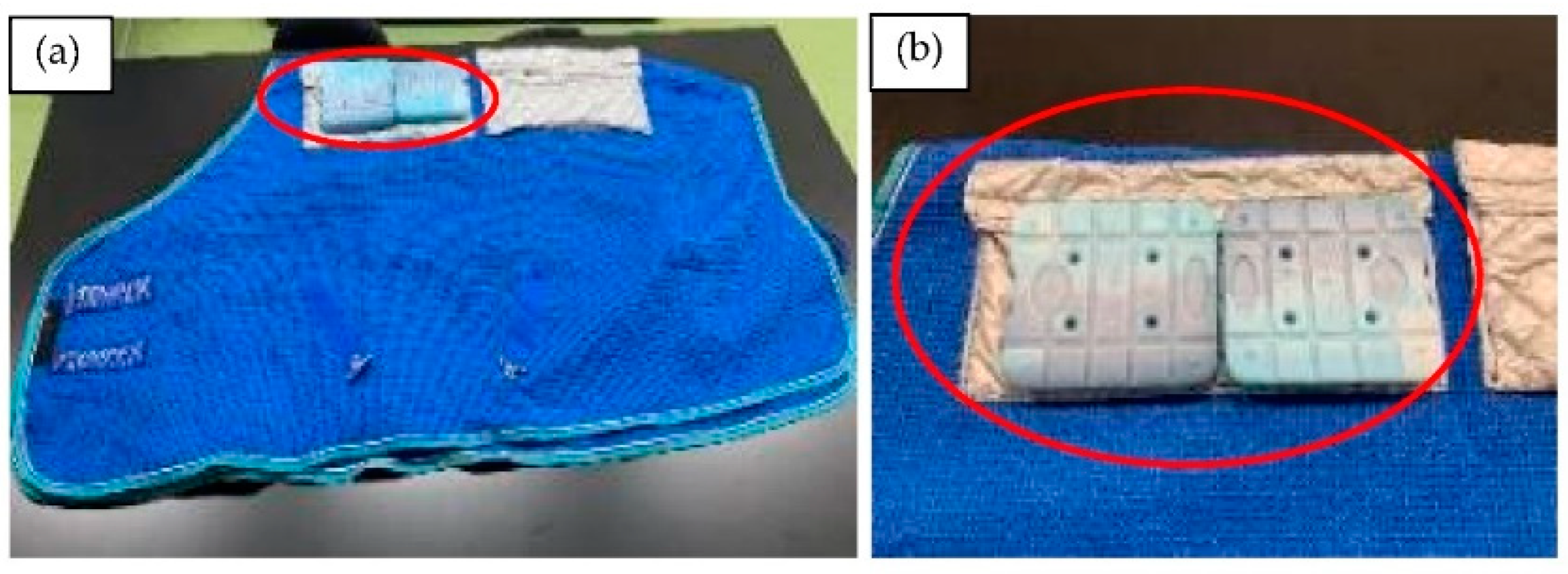 Animals 12 02505 g001