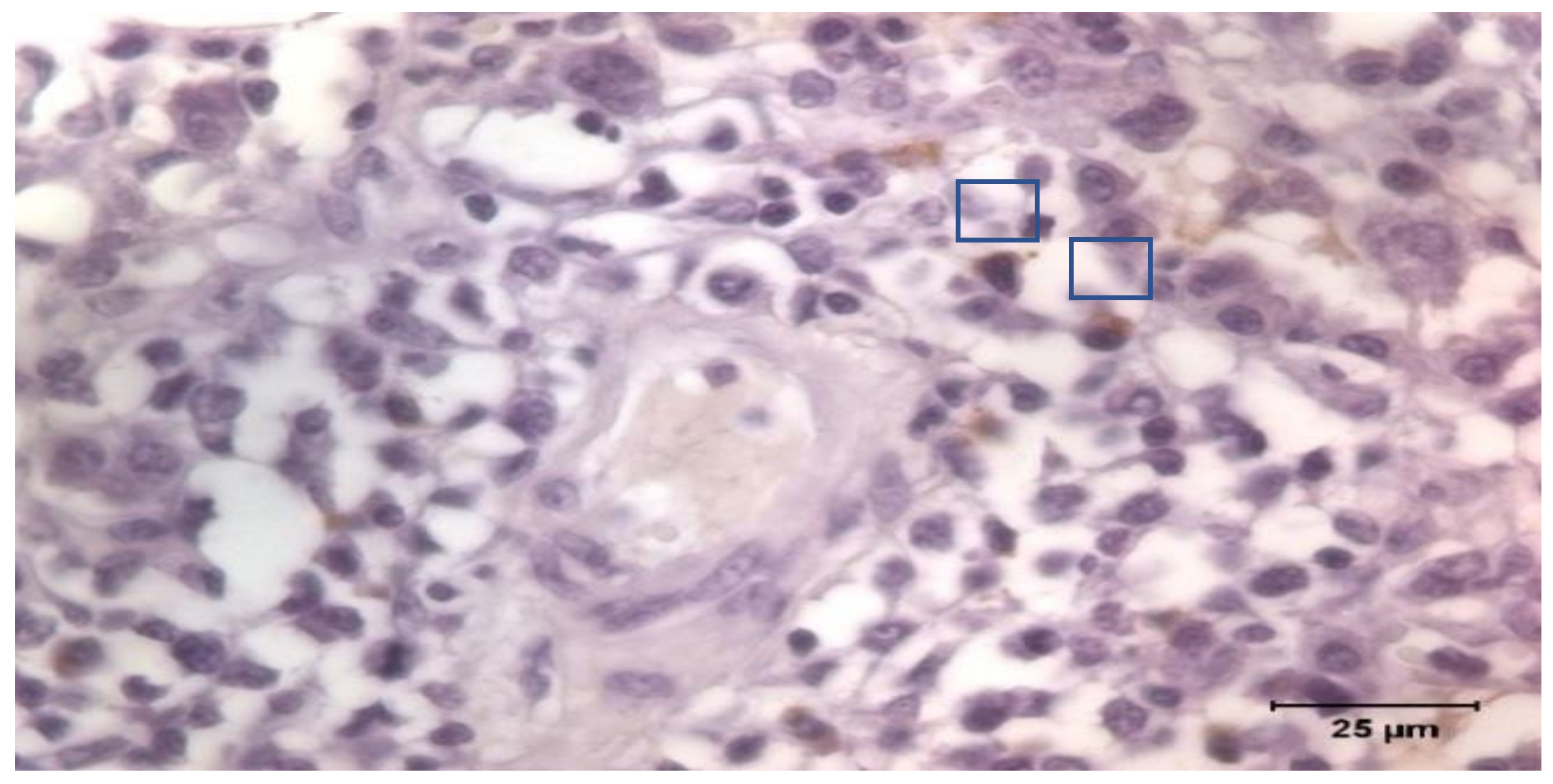 Animals 12 02513 g001