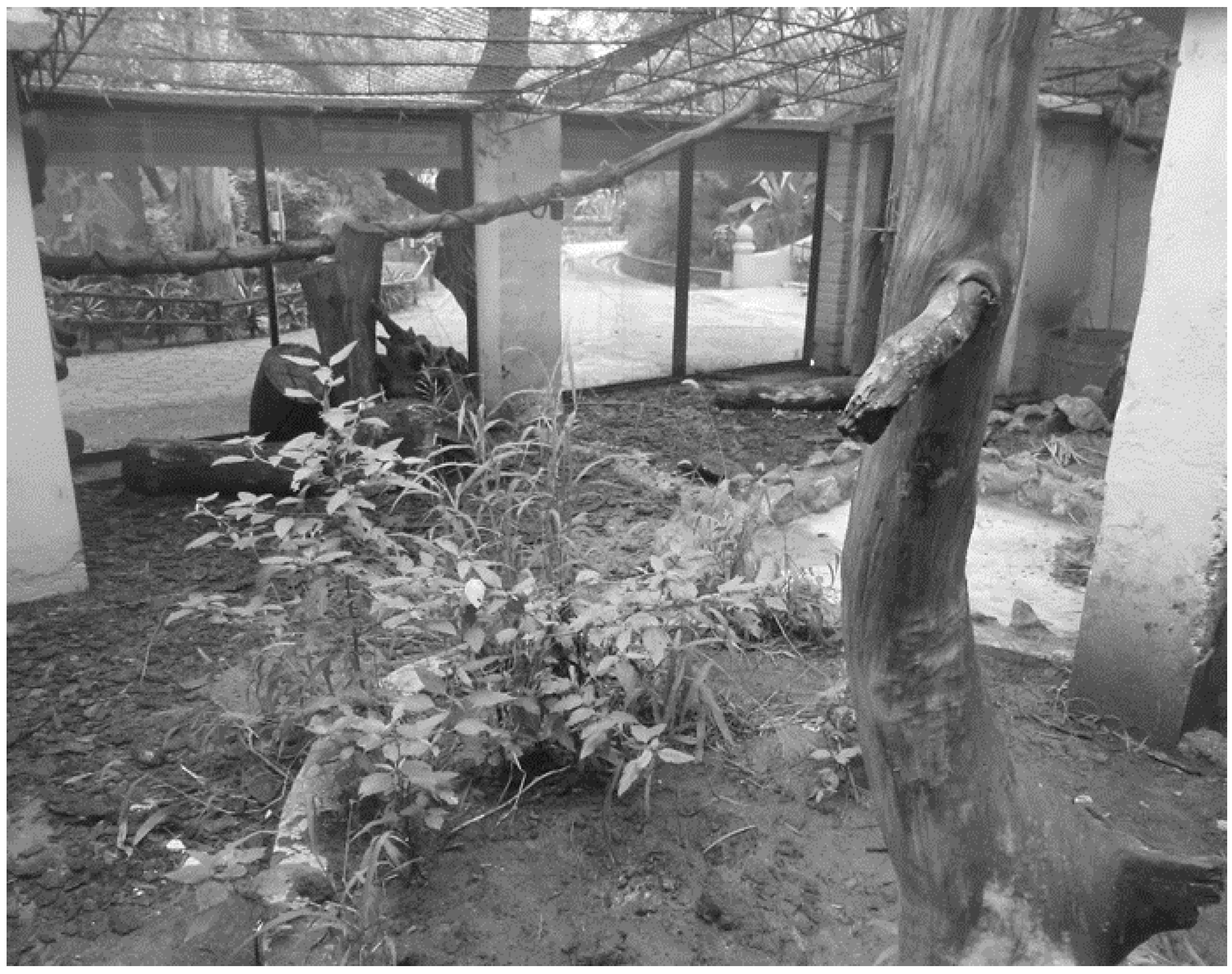 Animals 12 02516 g001