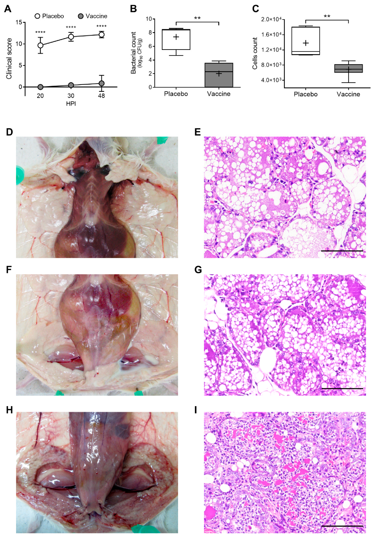 Animals 12 02533 g005