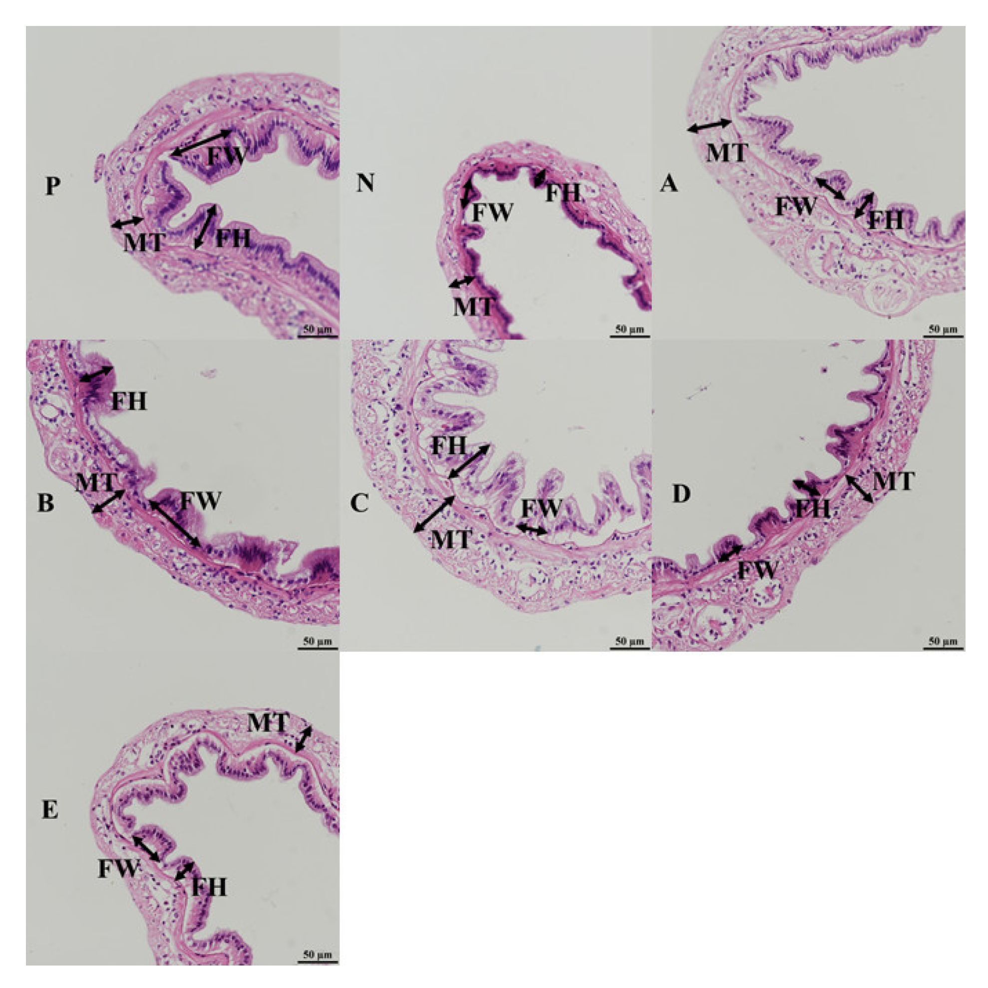 Animals 12 02550 g004 Animals 12 02550 g004