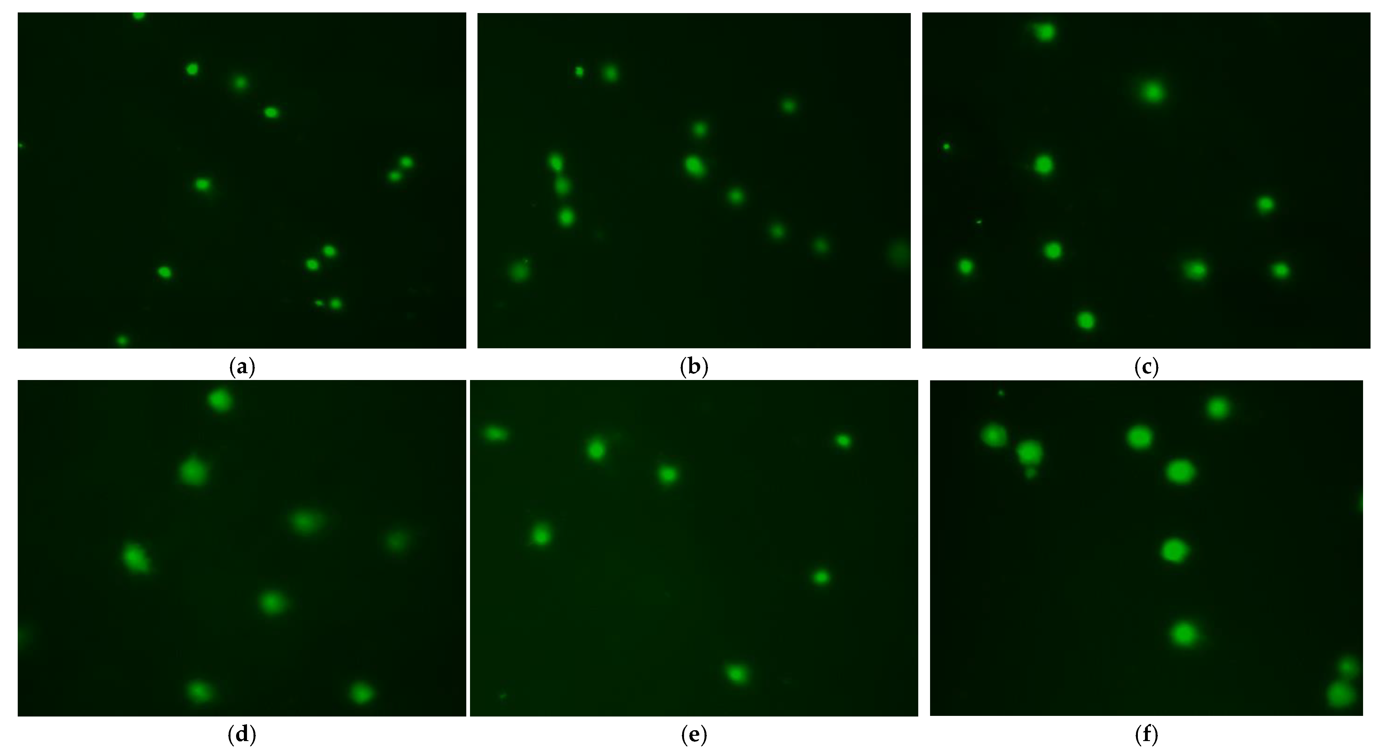 Animals 12 02553 g006 Animals 12 02553 g006