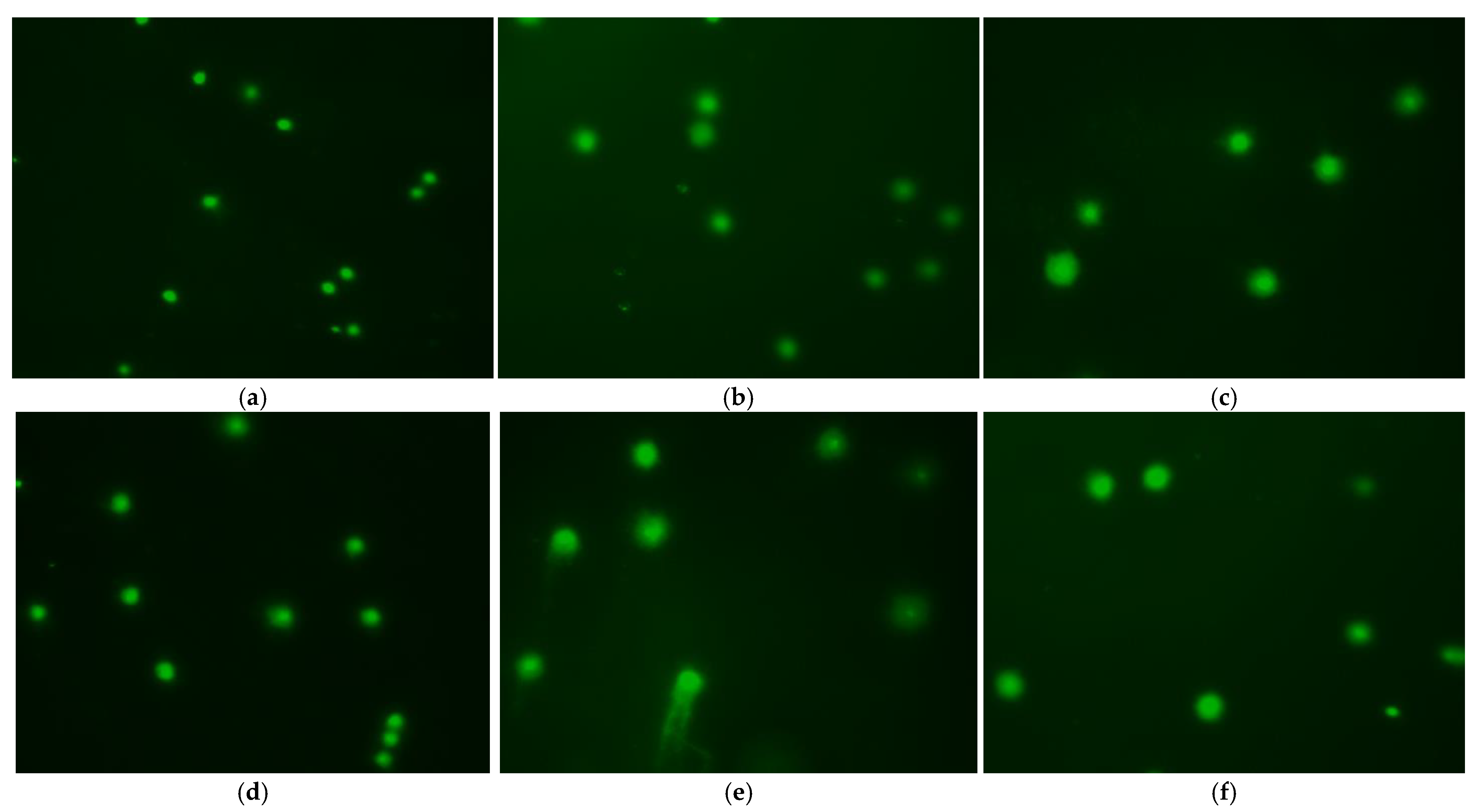 Animals 12 02553 g007 Animals 12 02553 g007