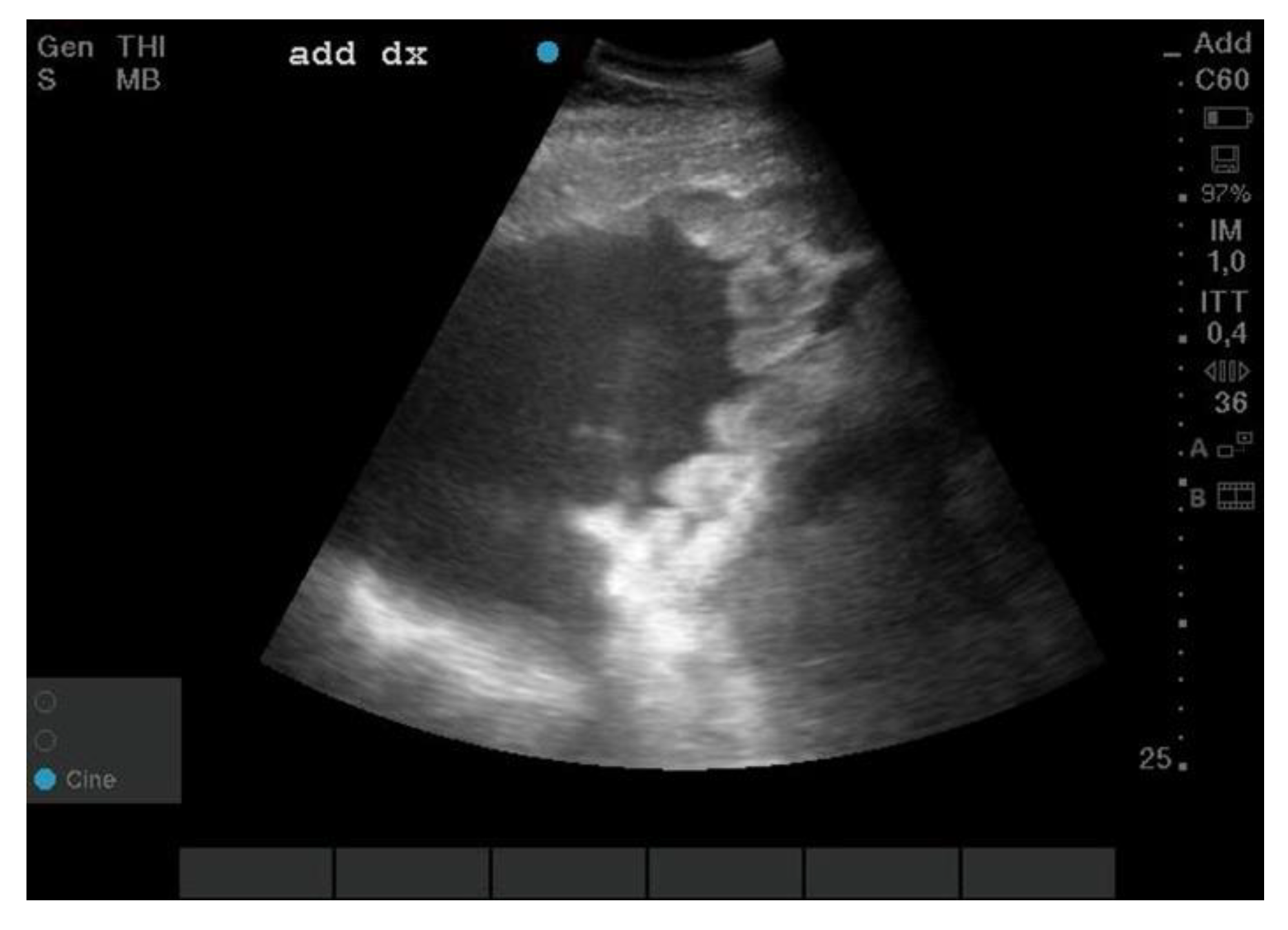 Animals 12 02560 g001 Animals 12 02560 g001