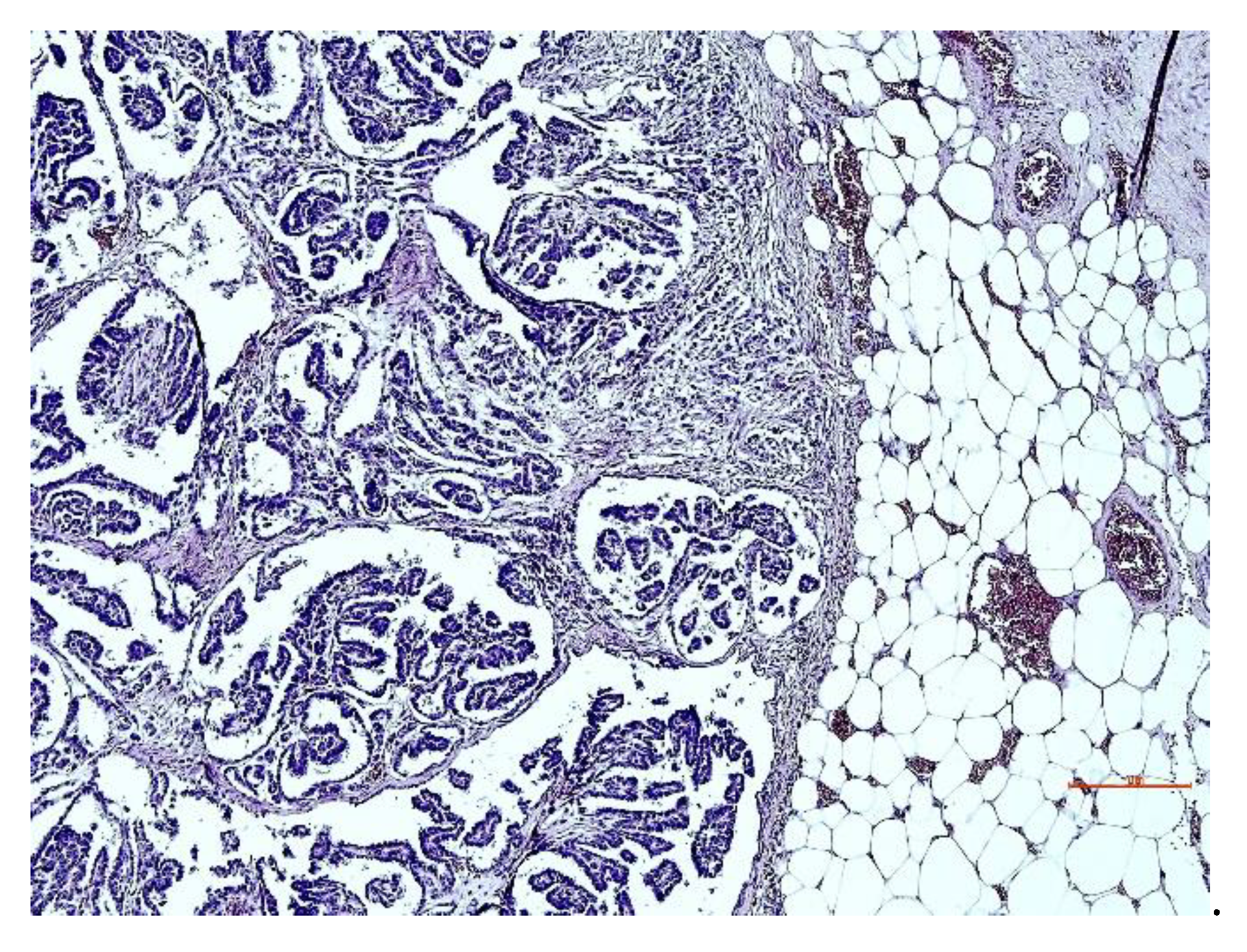 Animals 12 02560 g006 Animals 12 02560 g006