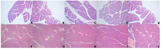 Animals | Free Full-Text | The Effect of Supplemental Concentrate 