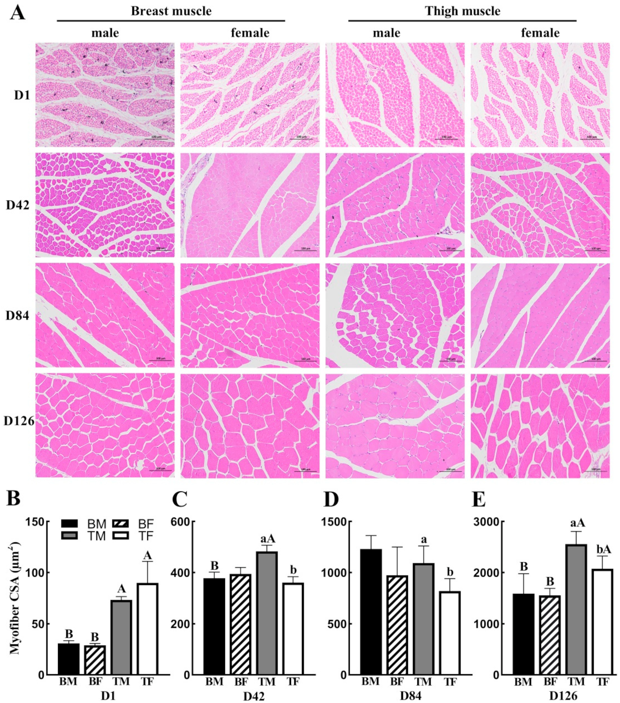 Animals 12 02565 g001
