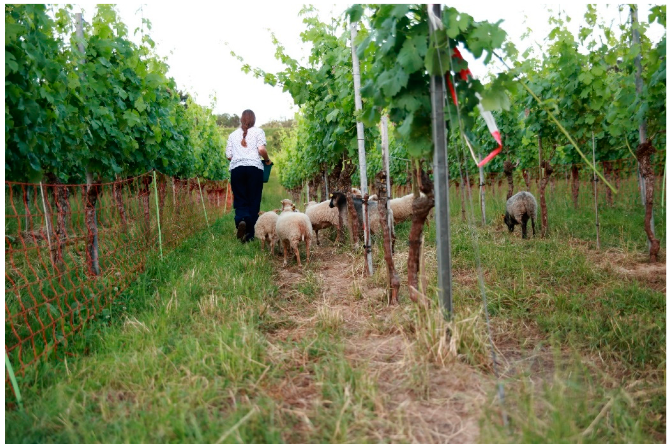 Animals 12 02575 g002