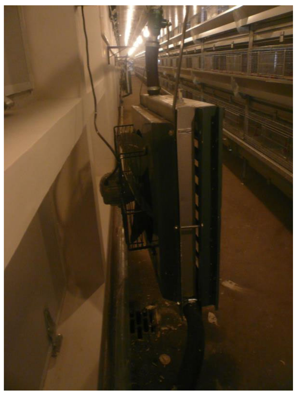 Animals 12 02580 g005 Animals 12 02580 g005