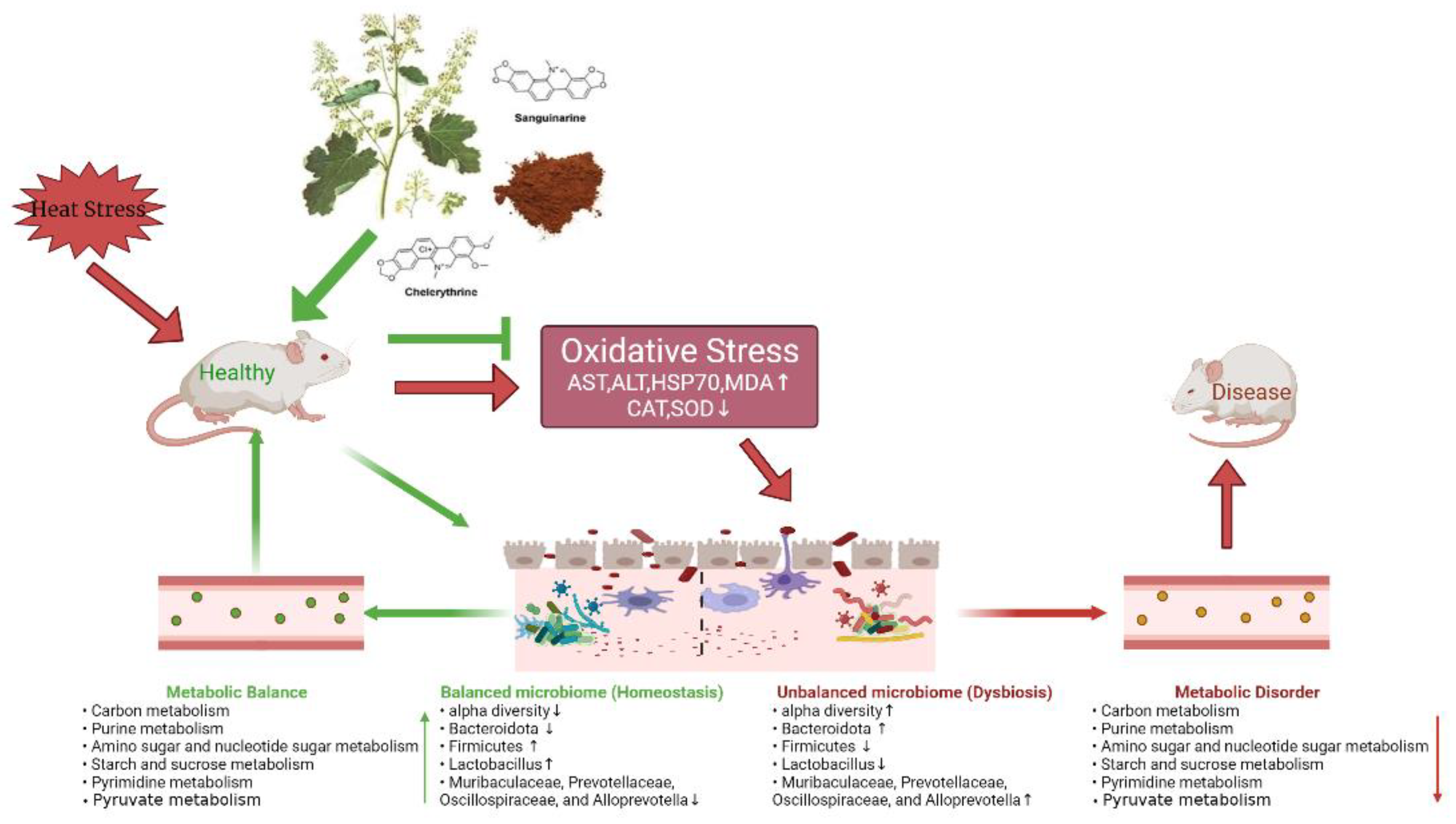 Animals 12 02589 g007