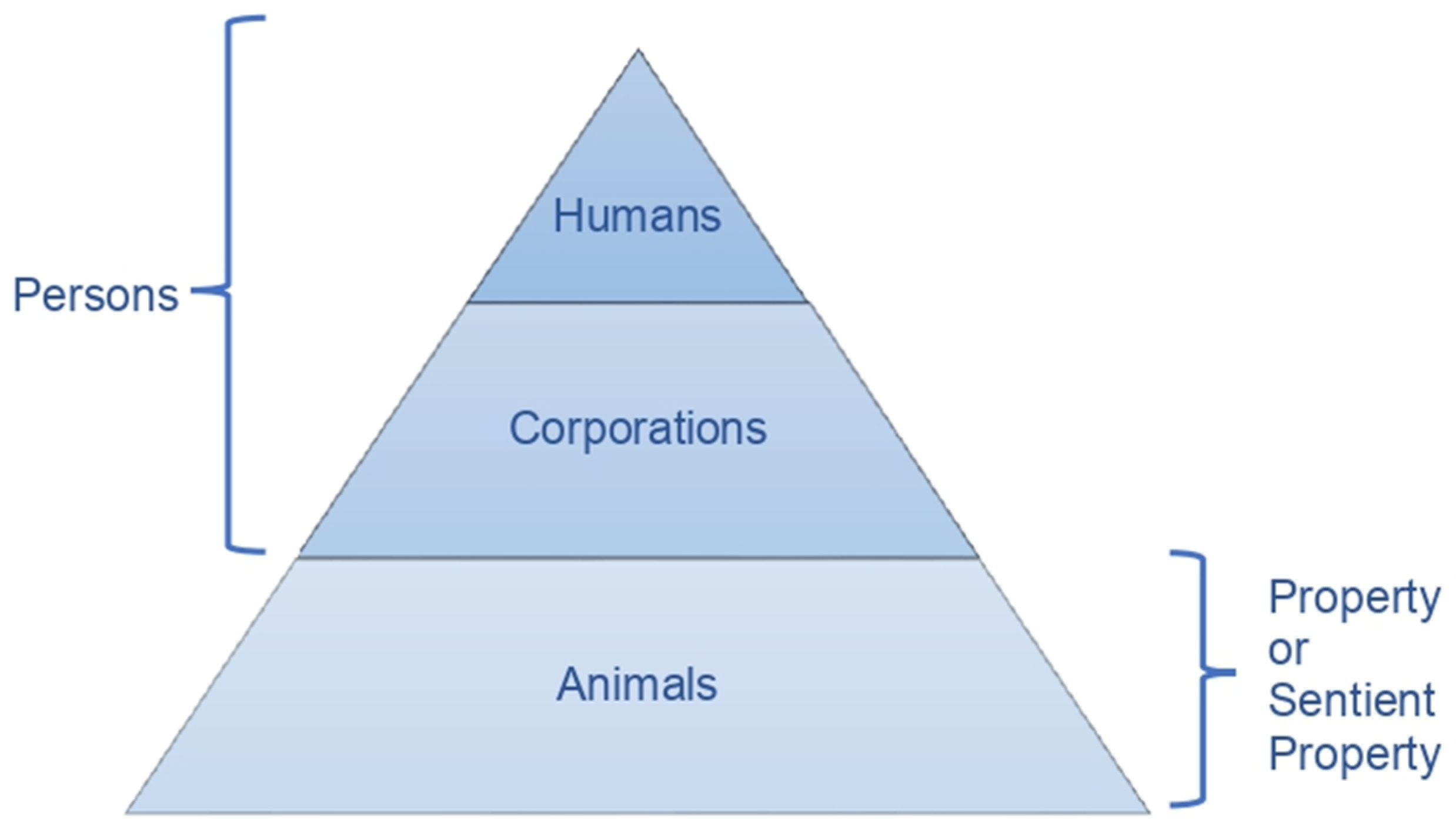 Animals 12 02590 g002 Animals 12 02590 g002