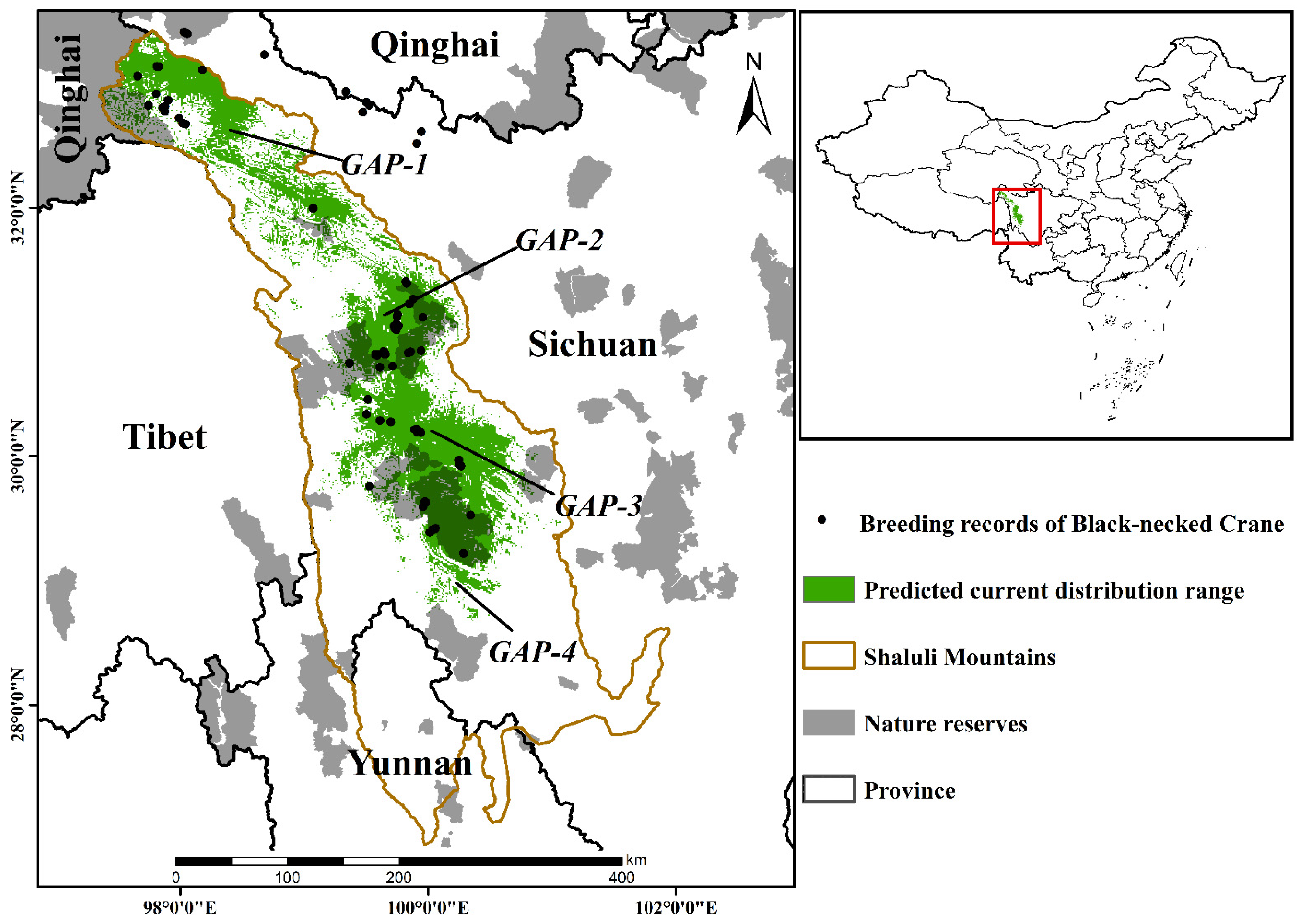 Animals | Free Full-Text | Distribution of Breeding Population and Predicting Future Habitat under Climate Change of Black-Necked Crane (Grus nigricollis Przevalski, 1876) in Shaluli Mountains Animals | Free Full-Text | Distribution of Breeding Population and Predicting Future Habitat under Climate Change of Black-Necked Crane (Grus nigricollis Przevalski, 1876) in Shaluli Mountains