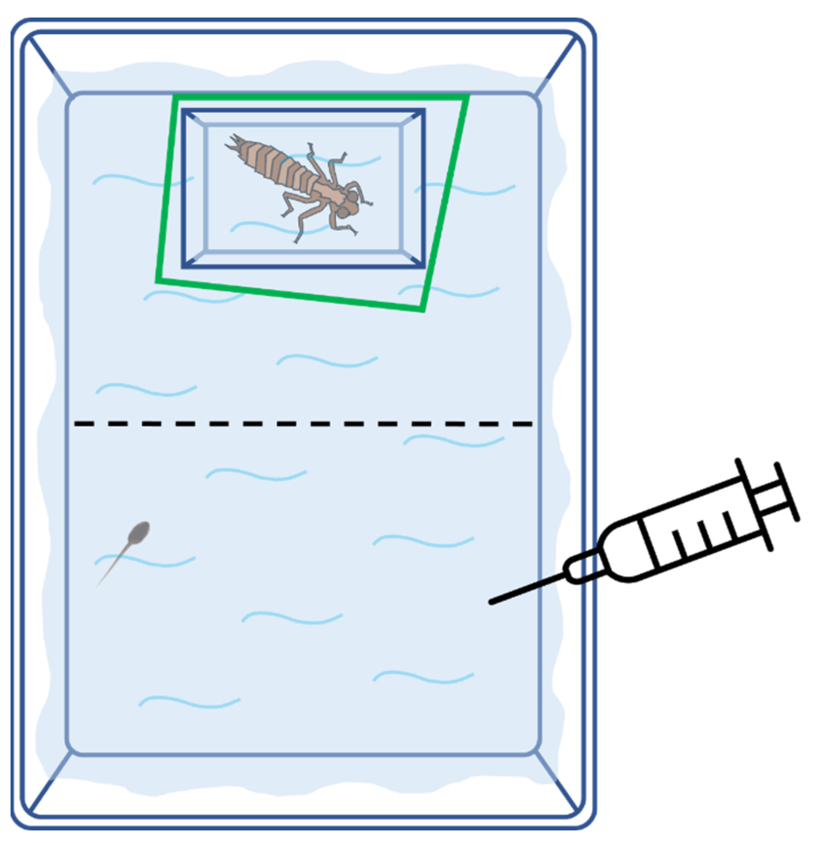 Animals 12 02603 g001