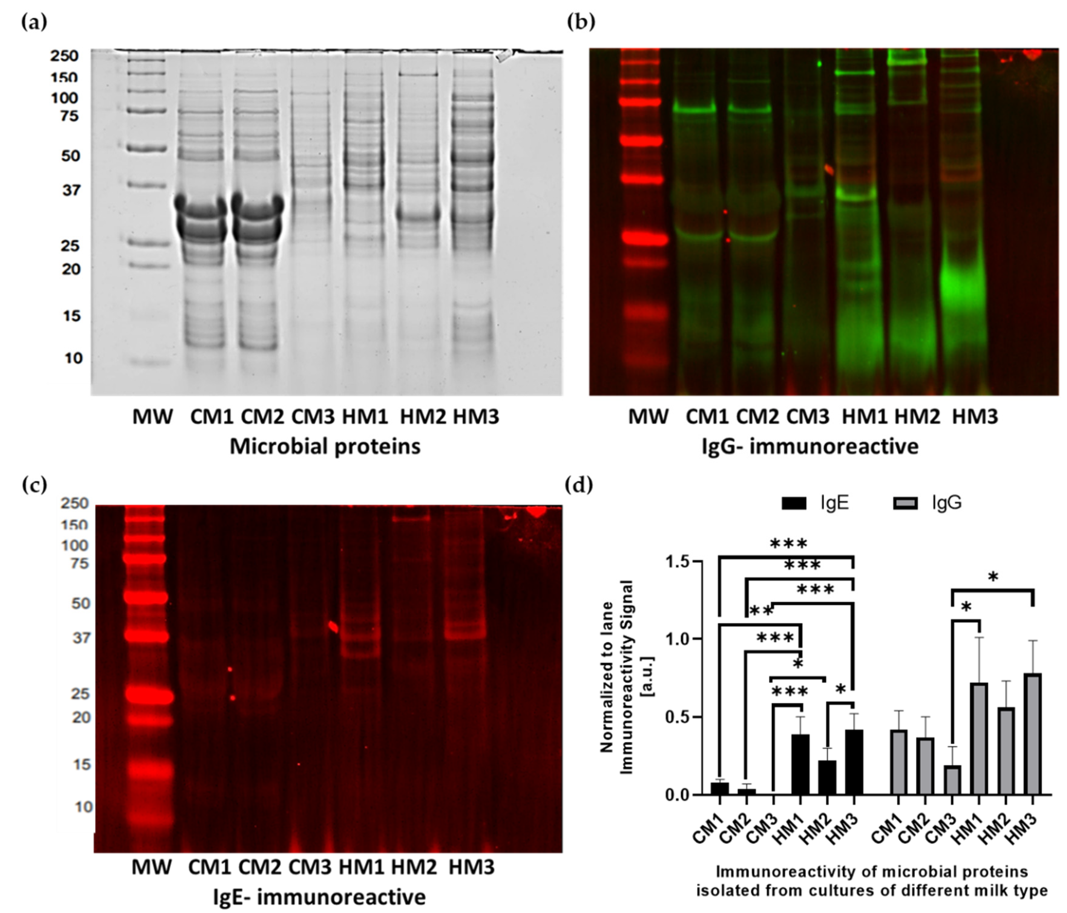 Animals 12 02605 g004 Animals 12 02605 g004