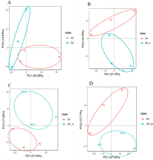【値下げ】 Analysis Metabolomic of Stress  Hypoxic Acute under Gill Obscurus Takifugu the 電動歯ブラシ